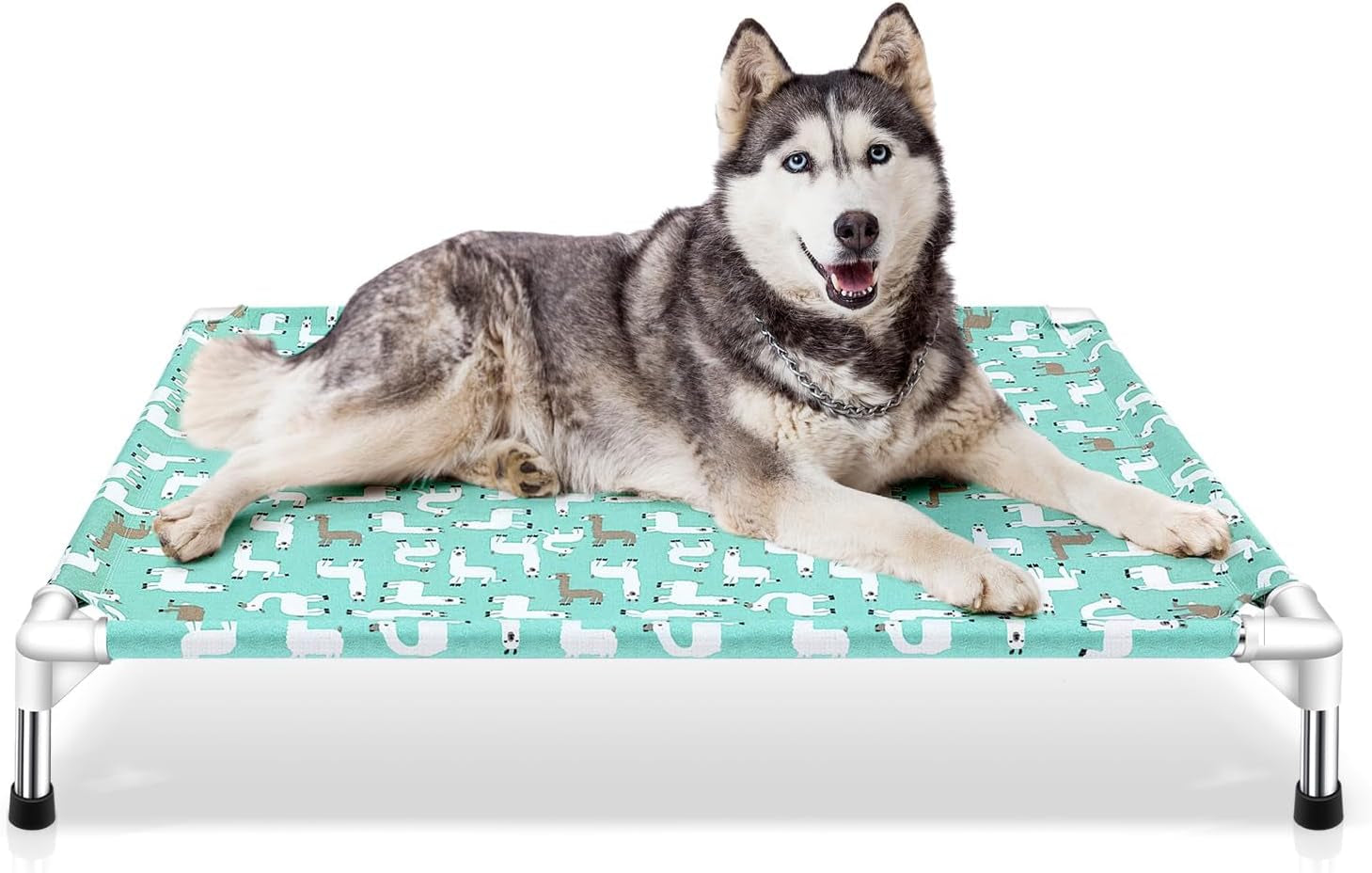 Elevated Dog Bed Pet Cot - Pet Bed for Medium Dogs | Elevated Pet Bed for Indoor and Outdoor Use for Medium Pets