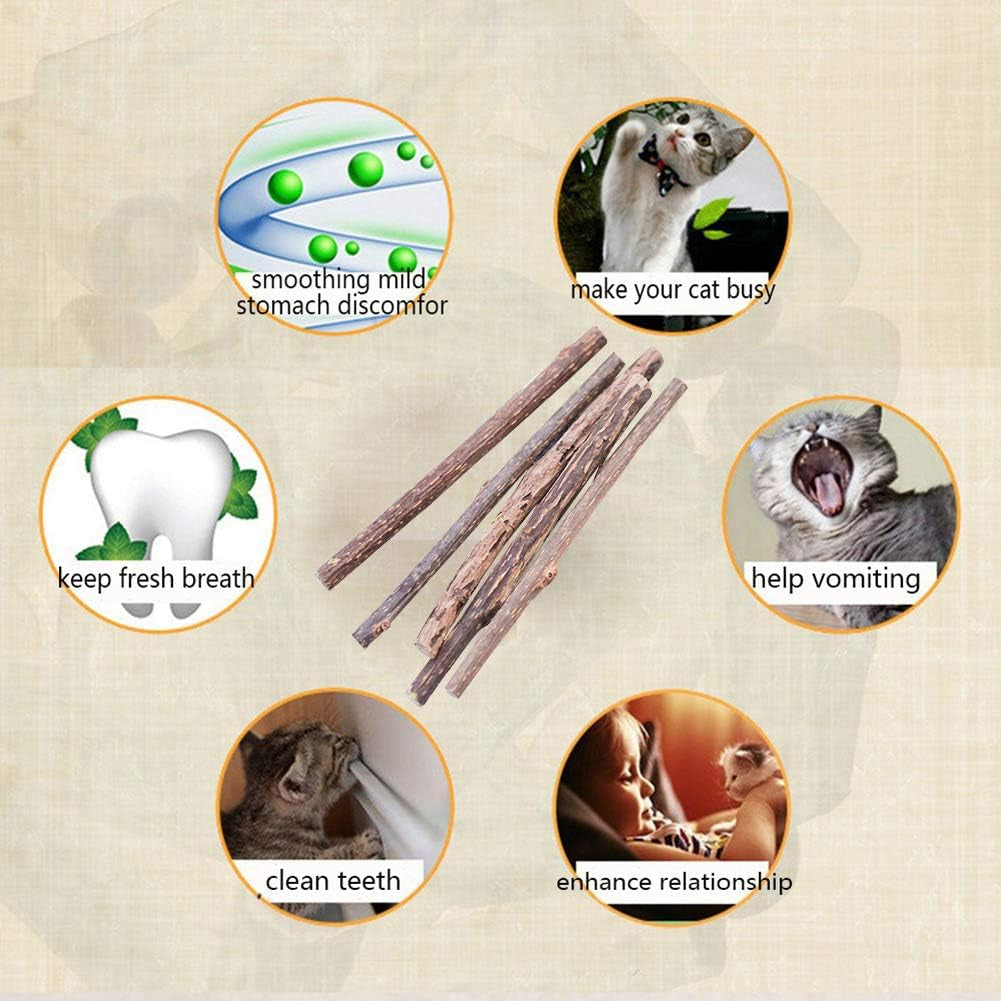 20PCS Cat Catmint Sticks Natural Matatabi Silvervine Sticks, Kittens Chew Stick Toys Teeth Molar Tools Dental Cleaning, 100% Organic Silver Vine Treats Molar Chew Toy for Cat Kitten