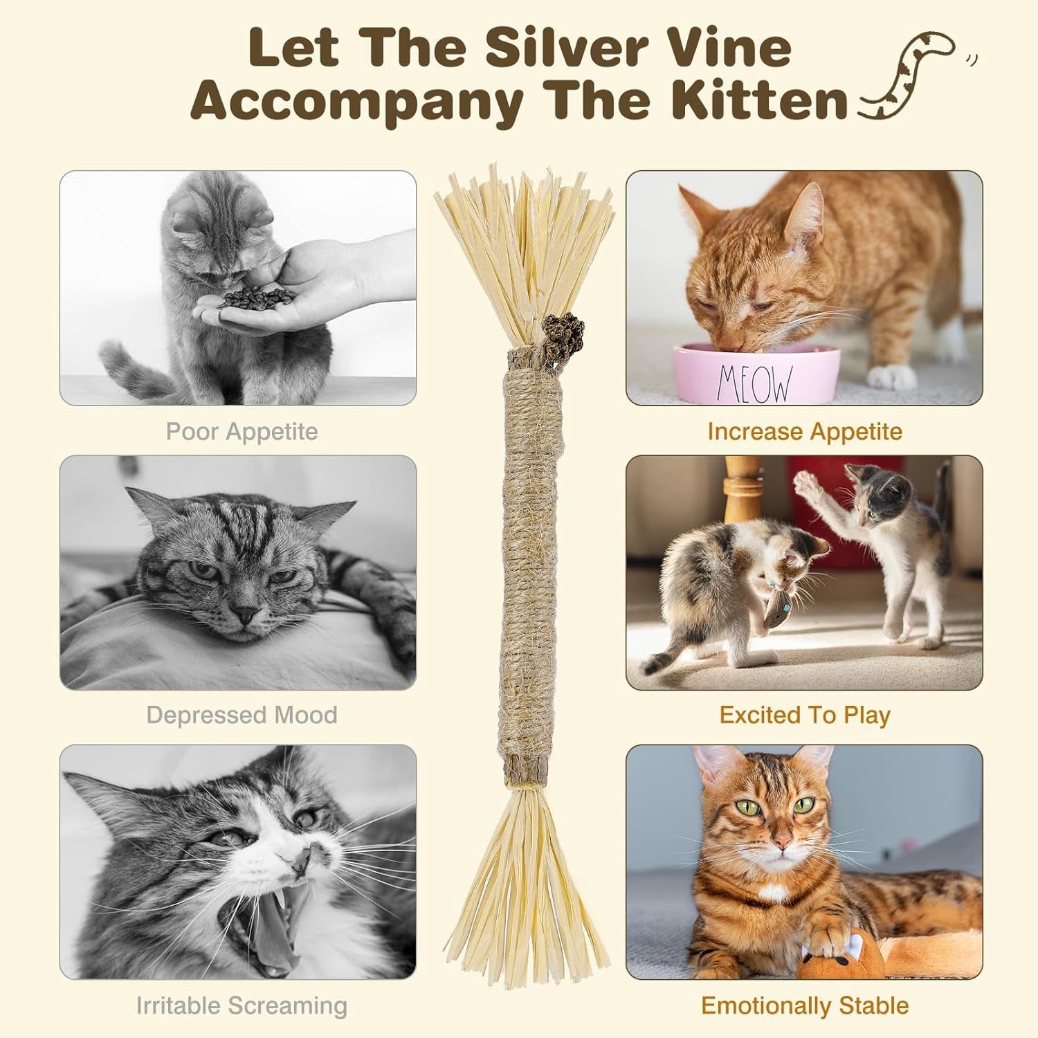 4 Pack Silvervine Sticks for Cats - Cat Chew Toy for Dental Care, Edible Matatabi Cat Chew Sticks for Teeth Cleaning, Kitty Toys for Indoor Cats (4 Sticks)