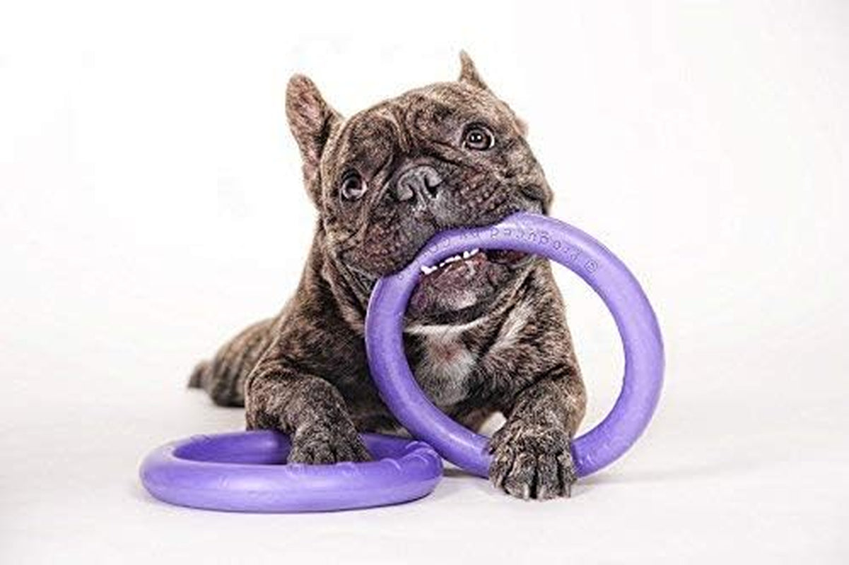 2 Puller Mini Interactive Dog Toy 7.5" Rings, Purple, for Small Breed Dogs