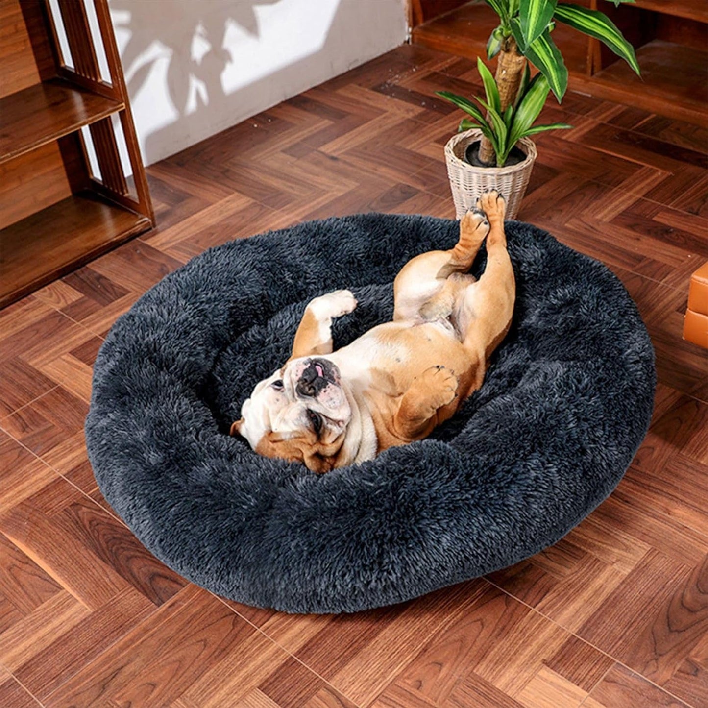 Cat Beds for Indoor Cats, 20 Inches Cat Bed Calming Plush Cat Bed Anti-Slip round Fluffy Dog Bed Donut Dog Bed Soft Puppy Pet Bed Cat Beds for Small Medium Dogs Kittens (Dark Grey)