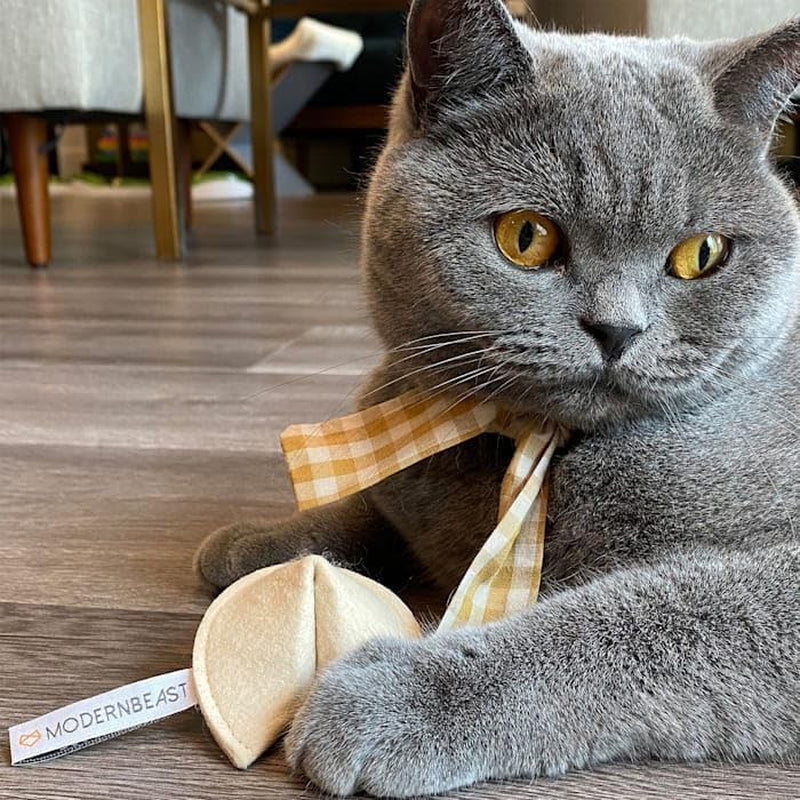 Kitty Fortune Cookie You Will Catch the Mouse Cat Toy