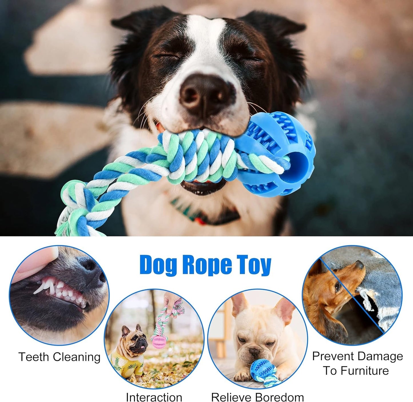 2 Pcs Ball on Rope Dog Toy, Dog Treat Toy Ball, Dog Tooth Cleaning Toy, Rope Ball Toy for Puppy Small & Medium Dog, Ball with Rope Dog Toy, Interactive Dog Toys, Tug of War,Tennis Ball