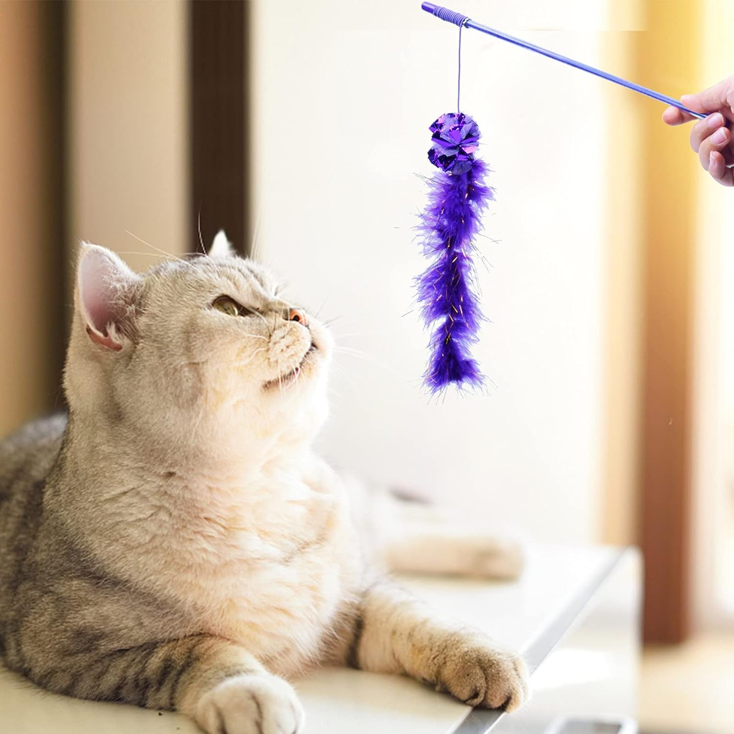 2 Pcs Cat Wand Toys,Interactive Cat Feather Toy,Purple and Red Funny Cat Stick for Home Cats, Cat Toy to Improve Responsiveness