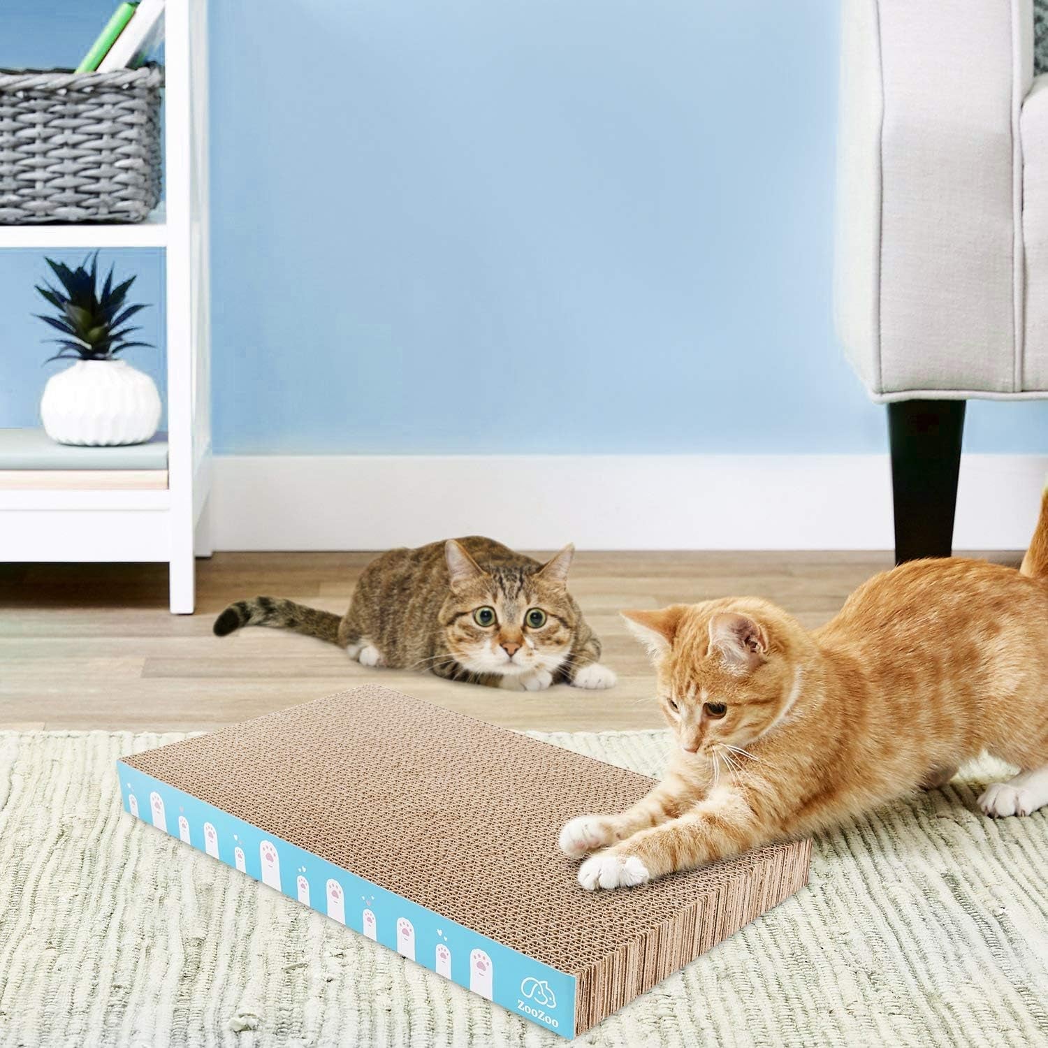 3 Pack Zoozoo Cat Scratching Board Set, Plain Cat Scratching Post Pad Made of Durable Corrugated Cardboard for Stress Relief, Pet Scratcher Fidget Toy Gift Claw Comfort