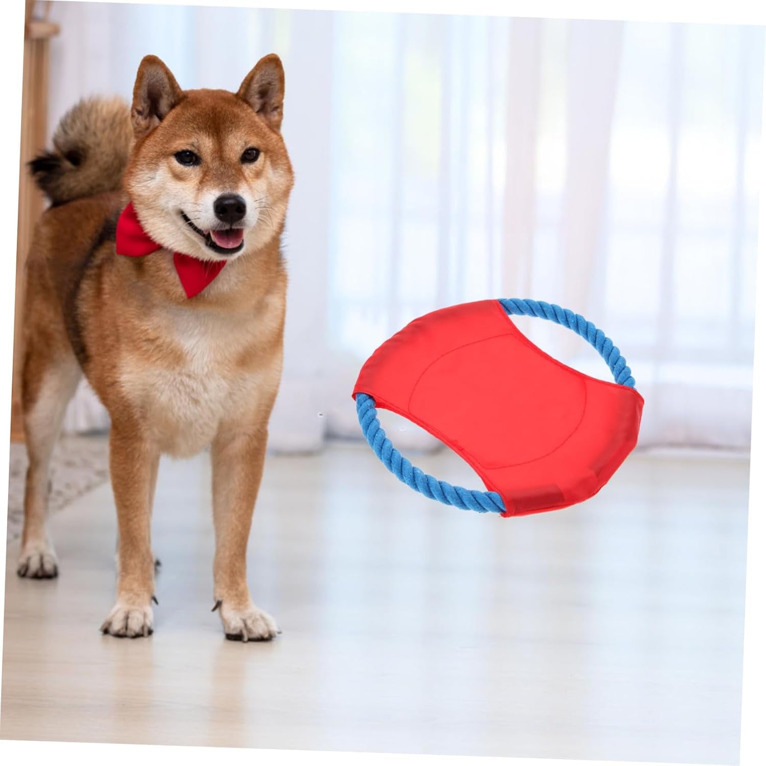 2 Pcs Flying Disk Toys Special Throwing Disc Toys Dog Throwing Discs Toy Dogman Toys Golden Retriever Dog Training Flyer Toy Puupy Soft Disc Flying Discs Toy Pet