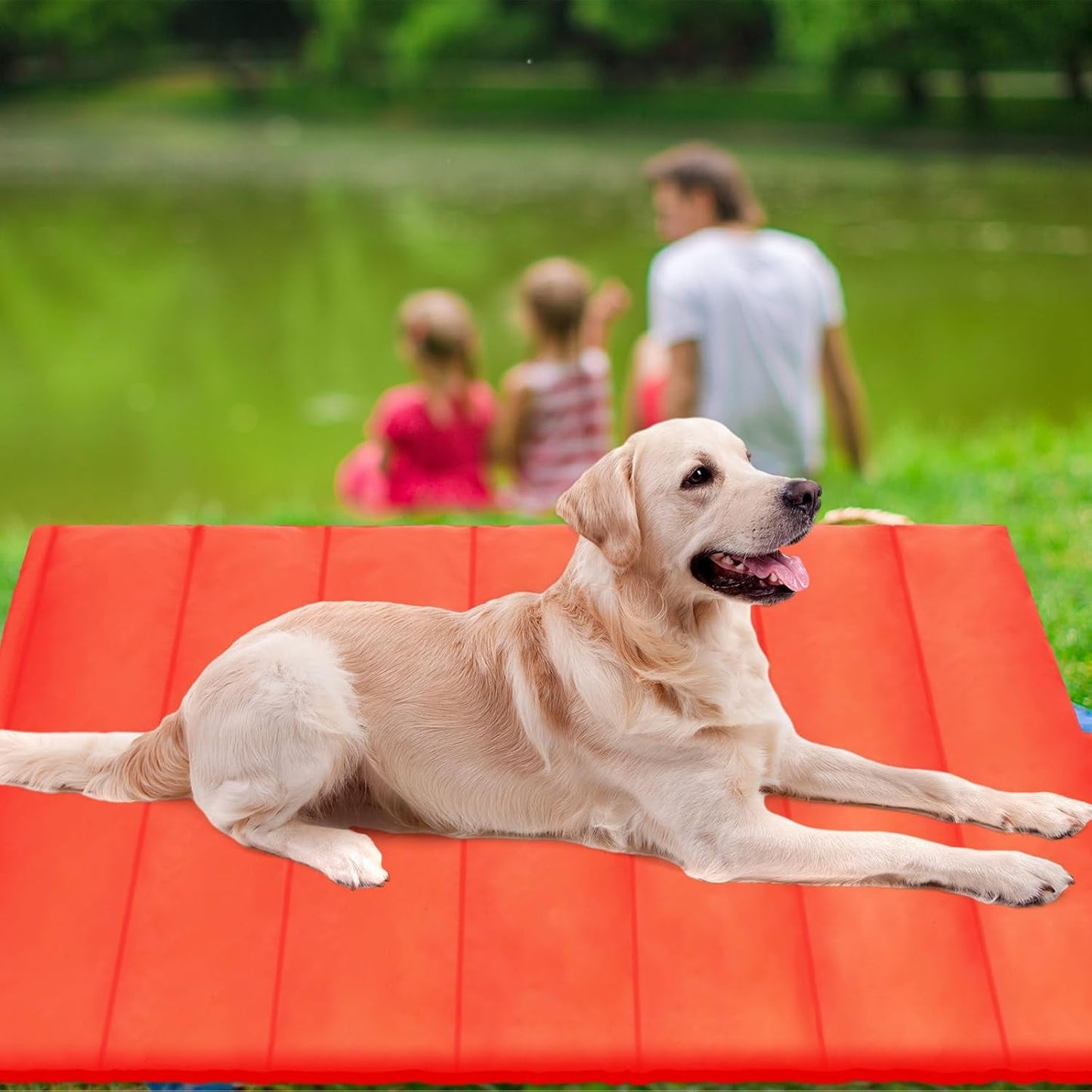 3 Pack Outdoor Dog Bed 51X35 Inch Large Size Camping Dog Mat Waterproof Portable Pet Mat Foldable Travel Dog Mattress for Large Dog and Pet