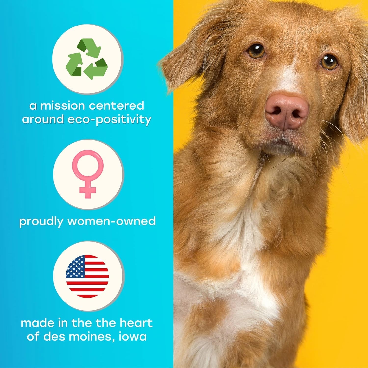 Knotty Barrel - Medium (Classic Blk & White)