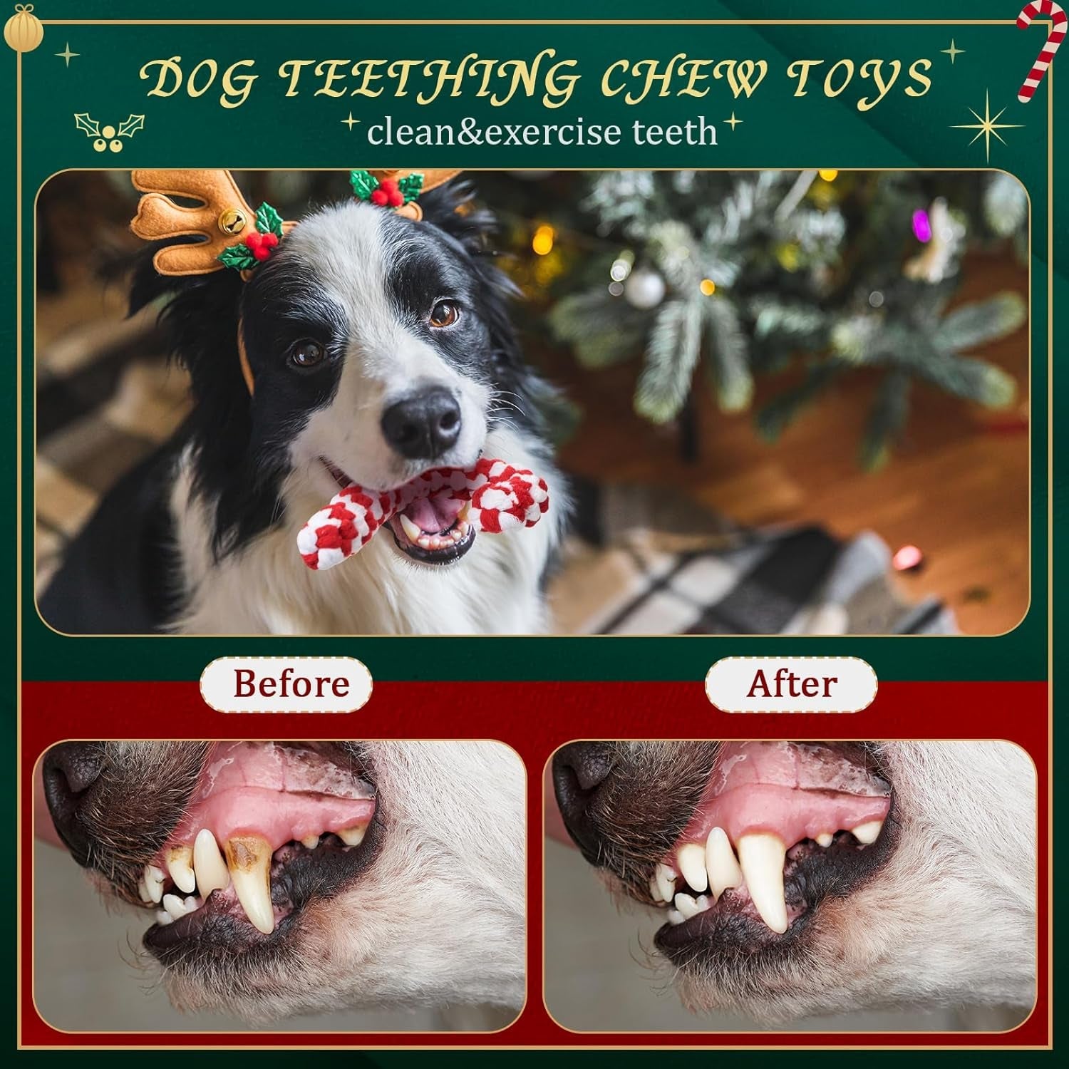 30 Pcs Christmas Dog Chew Toys Puppy Dog Rope Toys Bone Shape Candy Cane Assorted Styles Dog Tug of War Toys for Aggressive Chewers Small Medium Large Breed Pet Teething