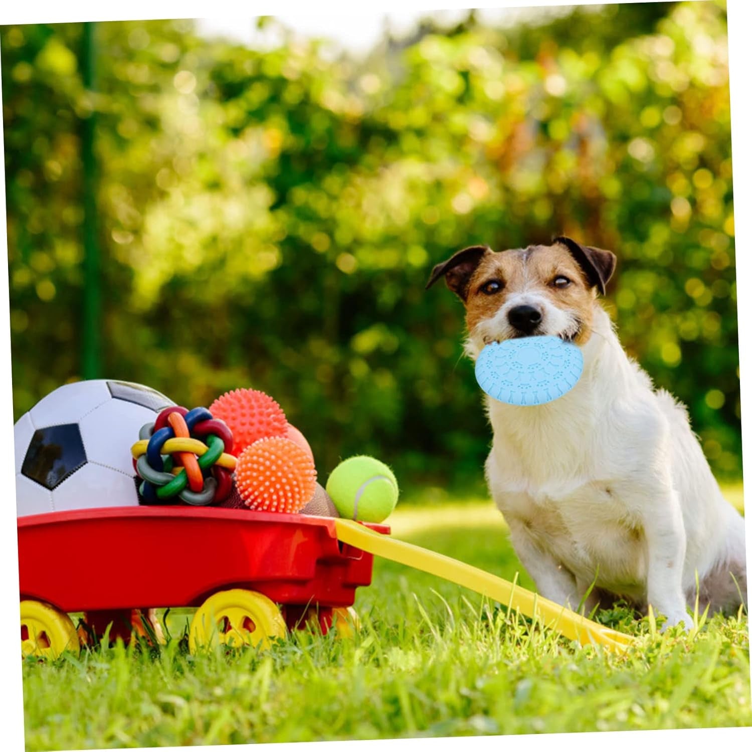 1Pc Pet Toy Funny Dog Toy Chewing Toys for Dogs Floating Dog Puppy Dental Care Dog Teething Toy Dog Training Disc Kid Toys Indoor Playset Puppy Flyer Toy TPR Outdoor Feeder Child