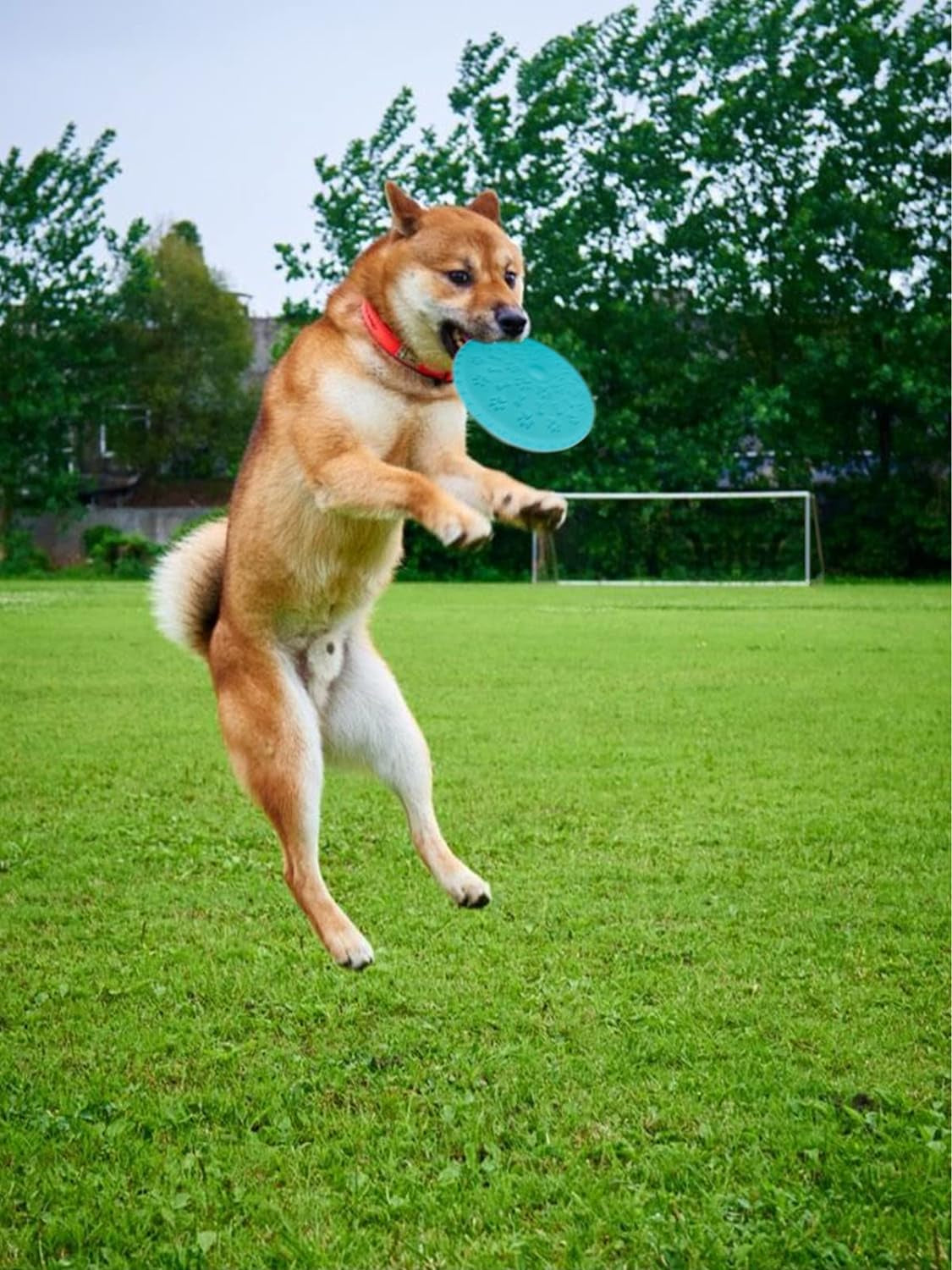 3 Pack Soft Rubber Dog Flying Discs for Small Medium Large Dogs (Small)