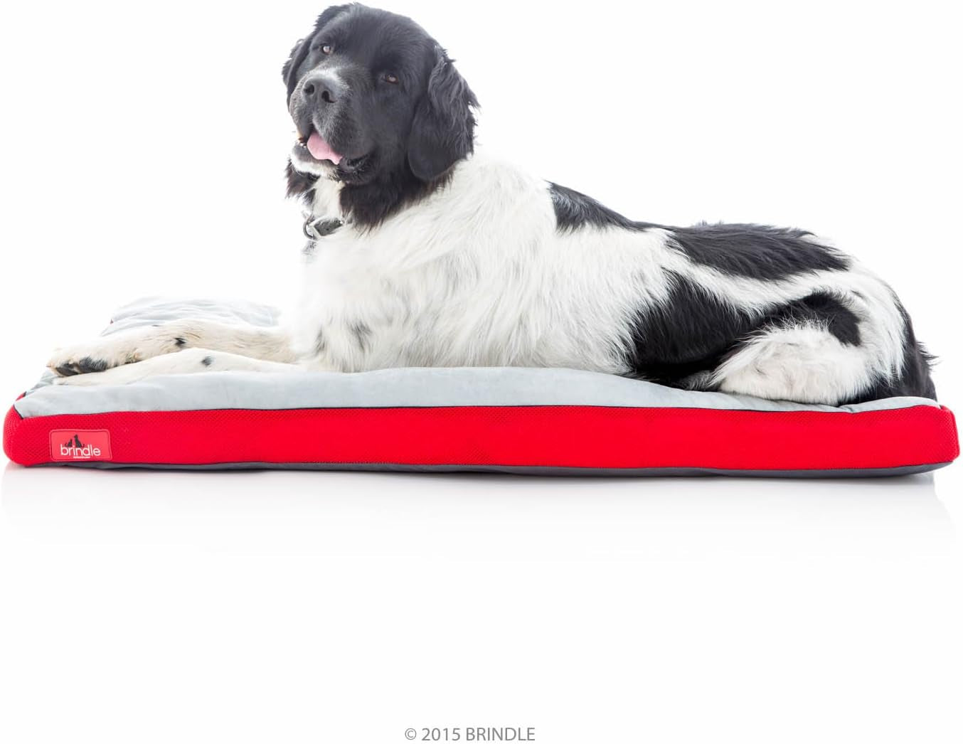 Brindle Shredded Memory Foam Dog Bed with Removable Washable Cover-Plush Orthopedic Pet Bed - 17 X 11 Inches - Red