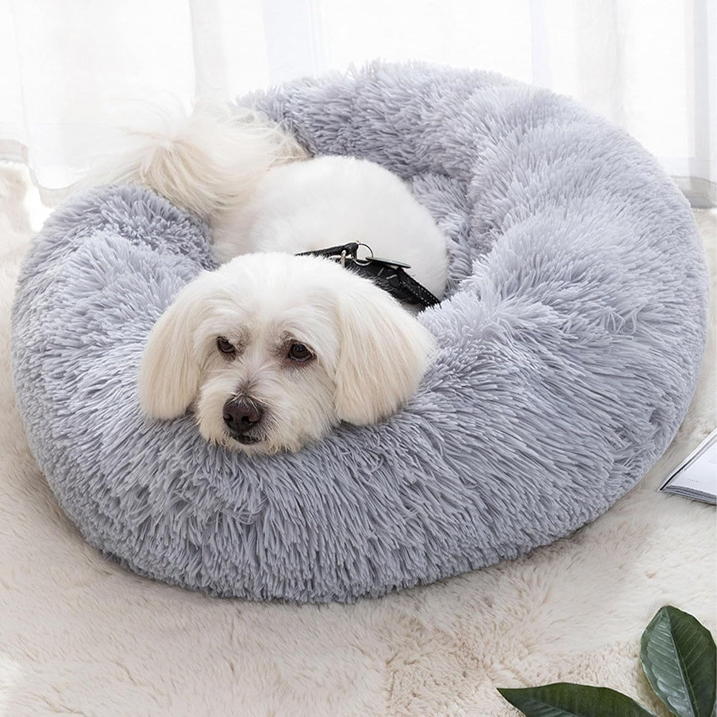 Cat Beds for Indoor Cats, 20 Inches Cat Bed Fluffy round Dog Bed Calming Soft Plush Donut Cat Bed Anti-Slippuppy Pet Bed Cat Beds for Small Medium Dogs Kittens (Grey)