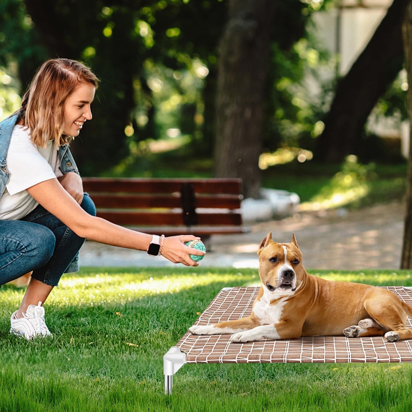 Elevated Dog Bed - Raised Dog Bed, Medium Size, Portable Indoor & Outdoor Dog Cot Bed, Soft and Comfortable Medium Dog Bed, Pet Bed for Camping or Beach