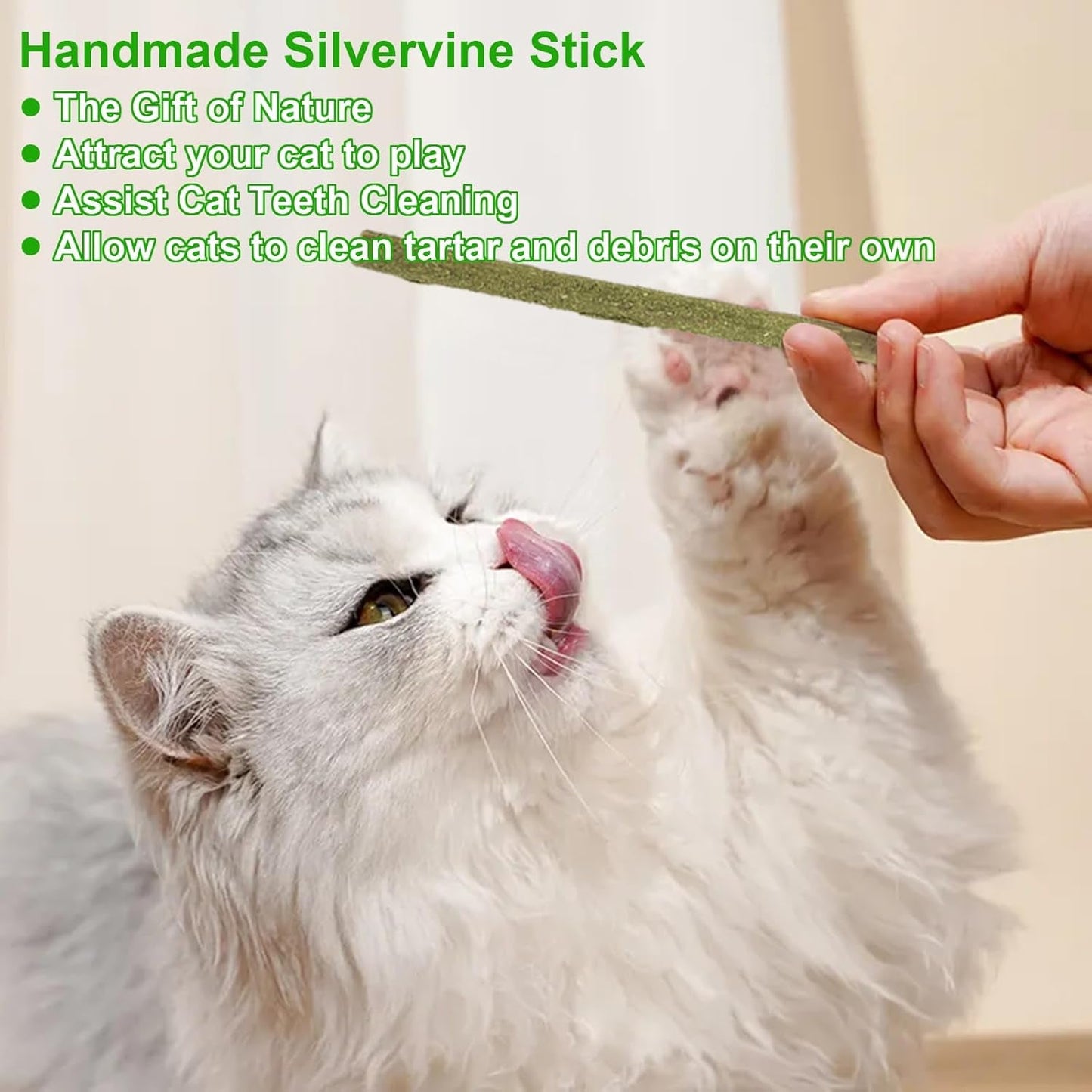 12 Pack Natural Silvervine Sticks Cat Chew Toy for Teeth Cleaning Matatabi Chew Sticks for Cat Kitten Kitty