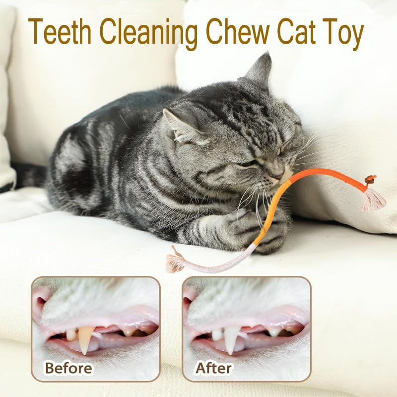 3Pack Cat Rope Toy Cotton Rope Cat Toys for Indoor Cats Bite-Resistant Catnip Toys Safe Teeth Cleaning Chew Cat Toy Interactive Cat Rope Toys with Silvervine Fruit for Cats