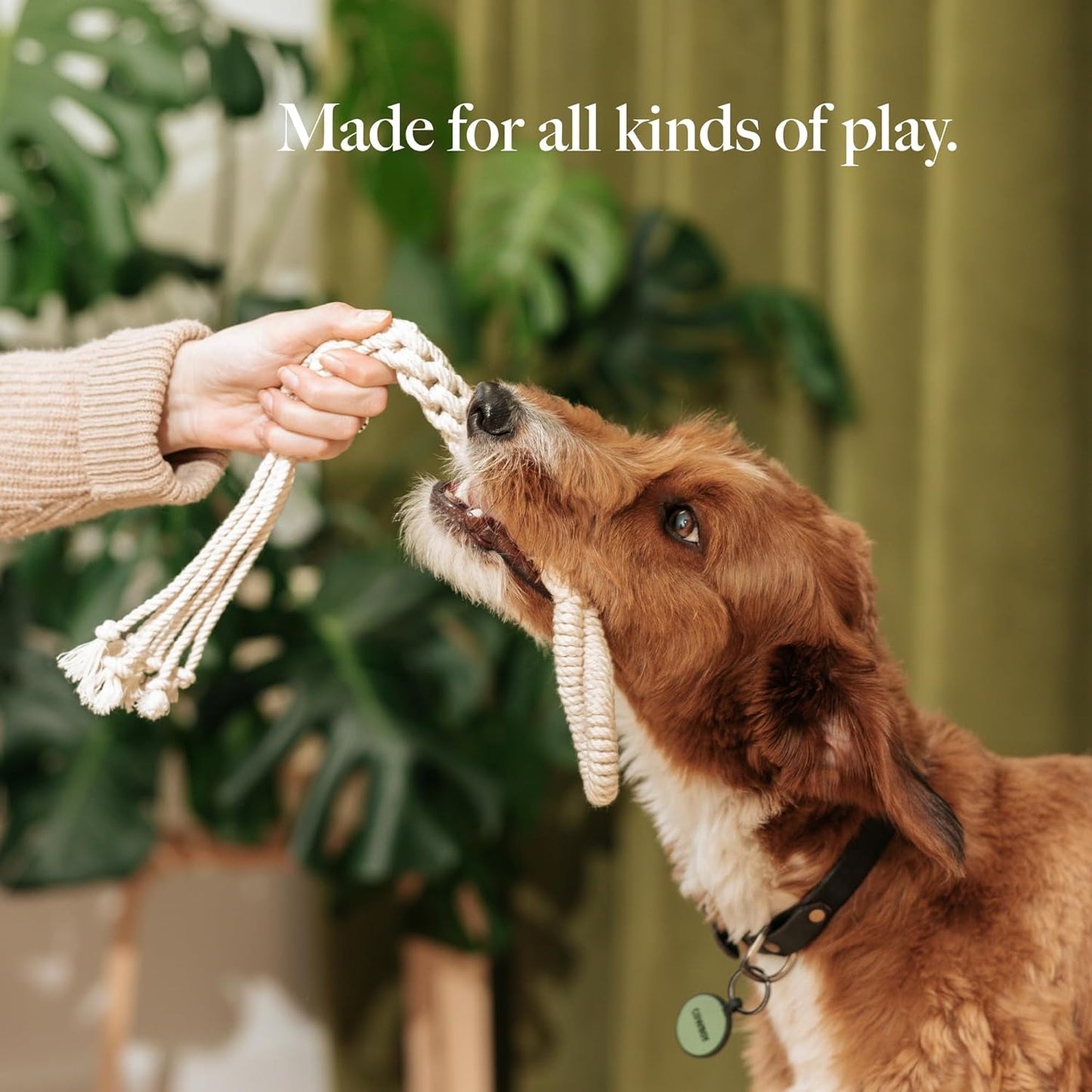 Natural, Non-Toxic Cotton Rope Toys for Small and Medium Dogs | 2-Pack | Durable & Eco-Friendly | Unique Boho Designs with Handle | Interactive Dog Toy