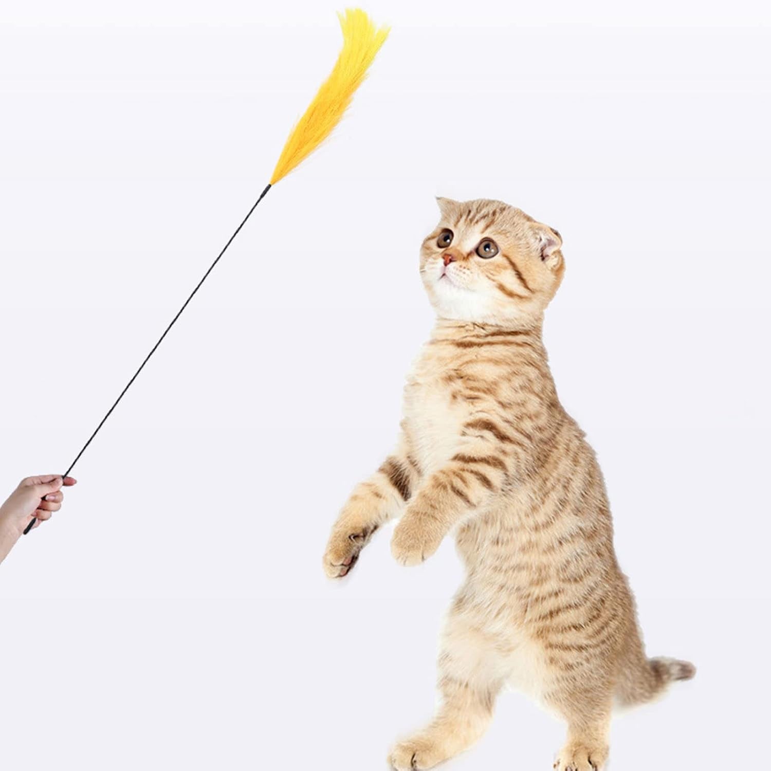 Cat Teaser Toy Stress Relief Interactive Play Toy Bendable Kitten Polyester Feather Stick Toys Cat Accessory - Blue