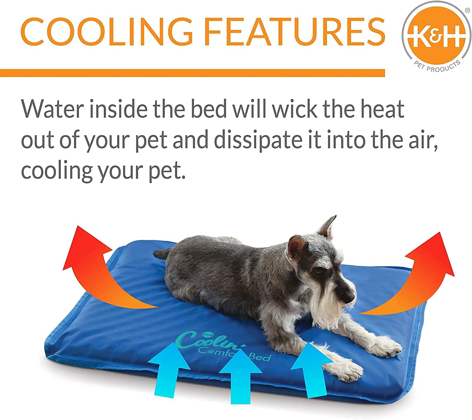 K&H Pet Products Coolin' Comfort Bed Orthopedic Dog Cooling Mat, Cooling Mat for Dogs and Cats, Cooling Dog Bed for Medium Dogs - Blue Medium 22 X 32 Inches