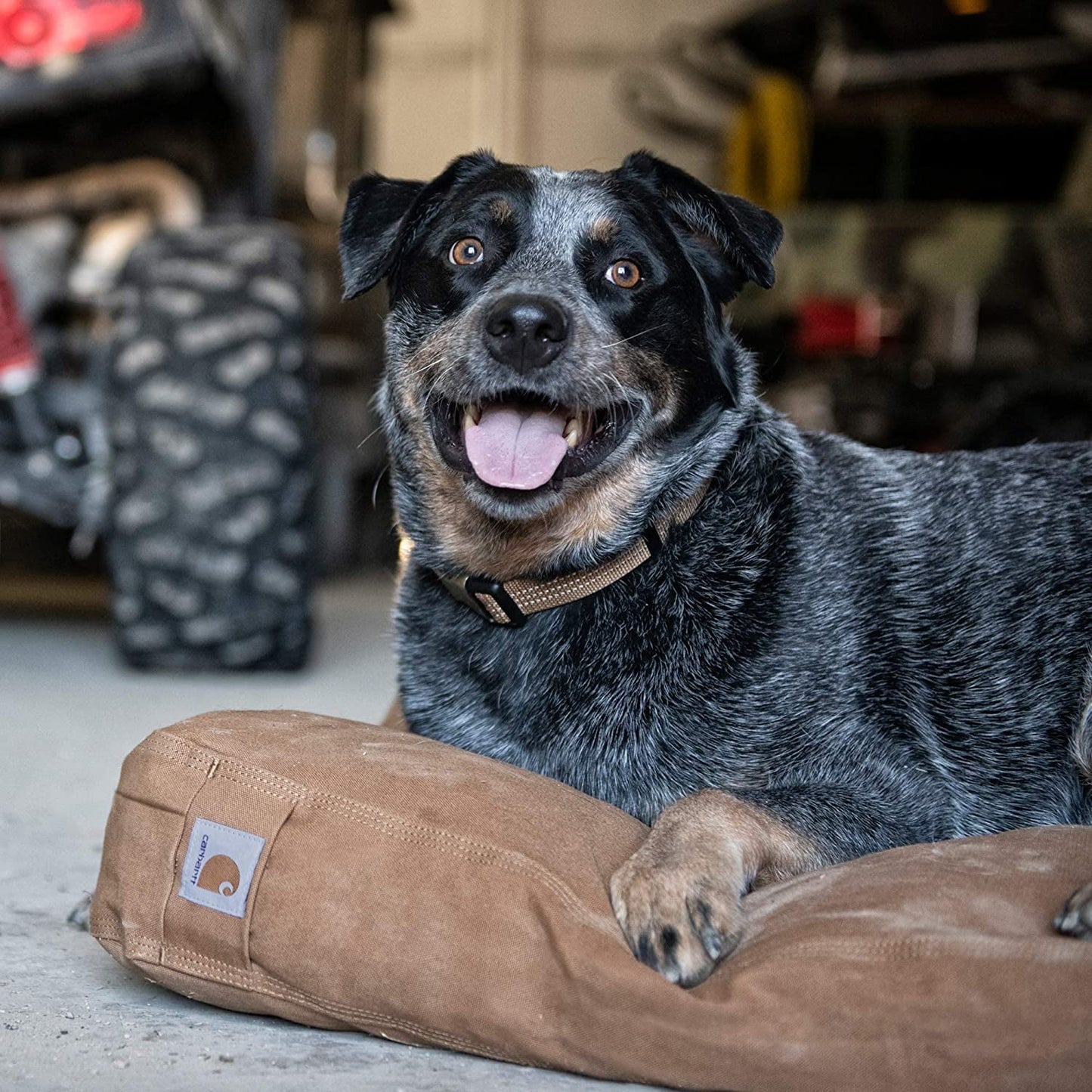 Carhartt Firm Duck Dog Bed Carhartt Brown, Large, 33" X 41" X 4.25"