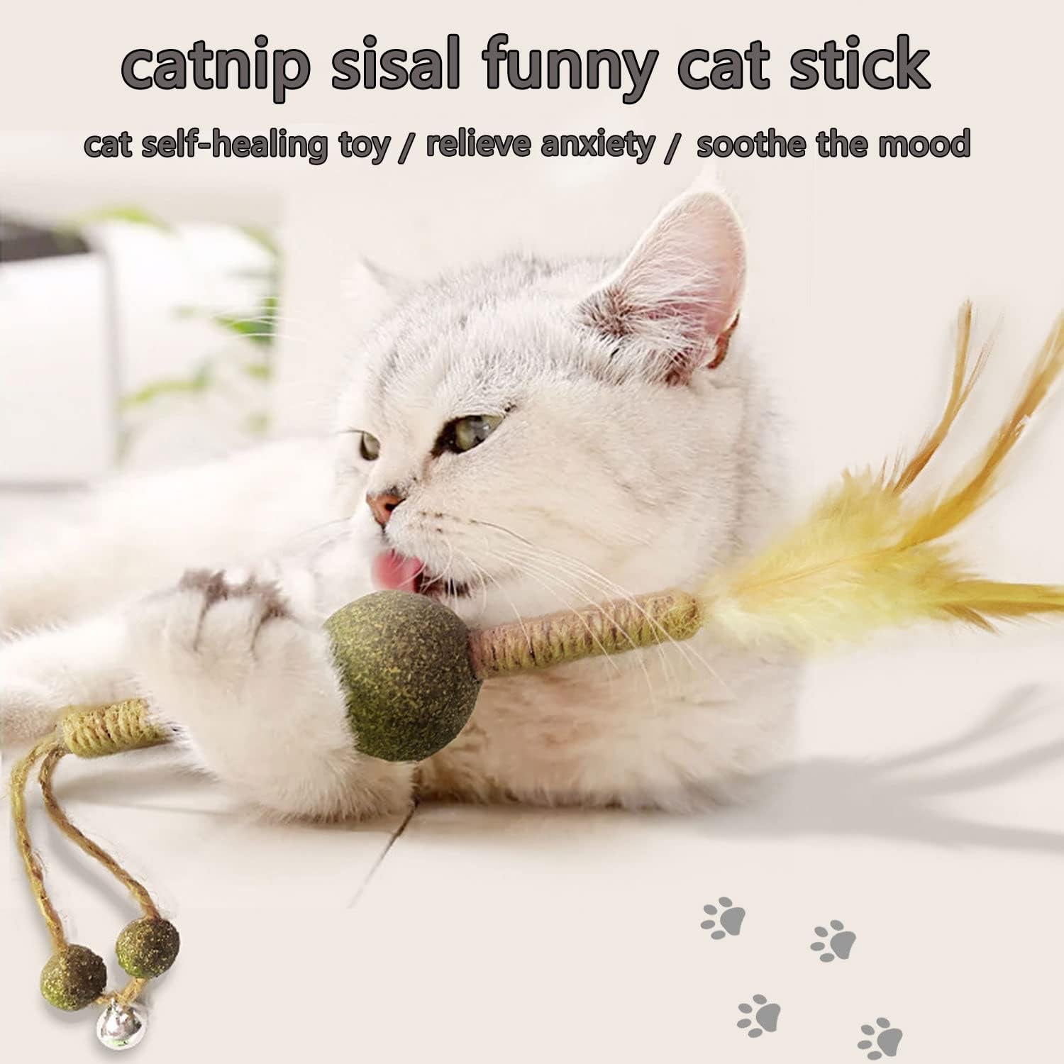 2 Packs of Catnip Molar Sticks, Indoor Interactive Cat Chewing Toy Cat Teeth Cleaning Relieve Boredom Toy Feather Funny Cat Stick