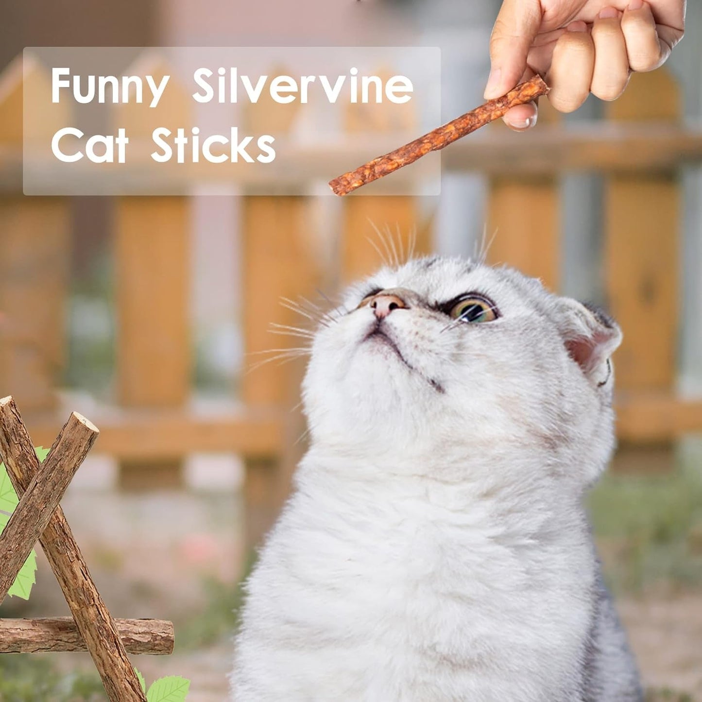 24Pcs/Pack Silvervine Cat Chew Sticks, Natural Cat Toys, Chew Toys for Kittens Kitty Cats, Matatabi Sticks, Teeth Cleaning Toys