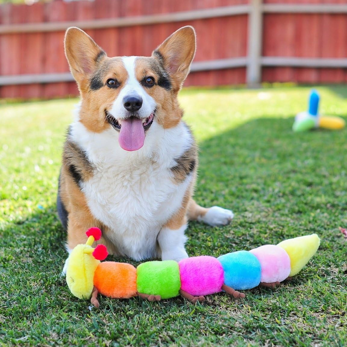 Zippypaws - Colorful Caterpillar Dog Toy, Rainbow Dog Toy with Squeakers, Plush Dog Toys for Aggressive Chewers, Summer Dog Toys, Rainbow Dog Pride Accessories