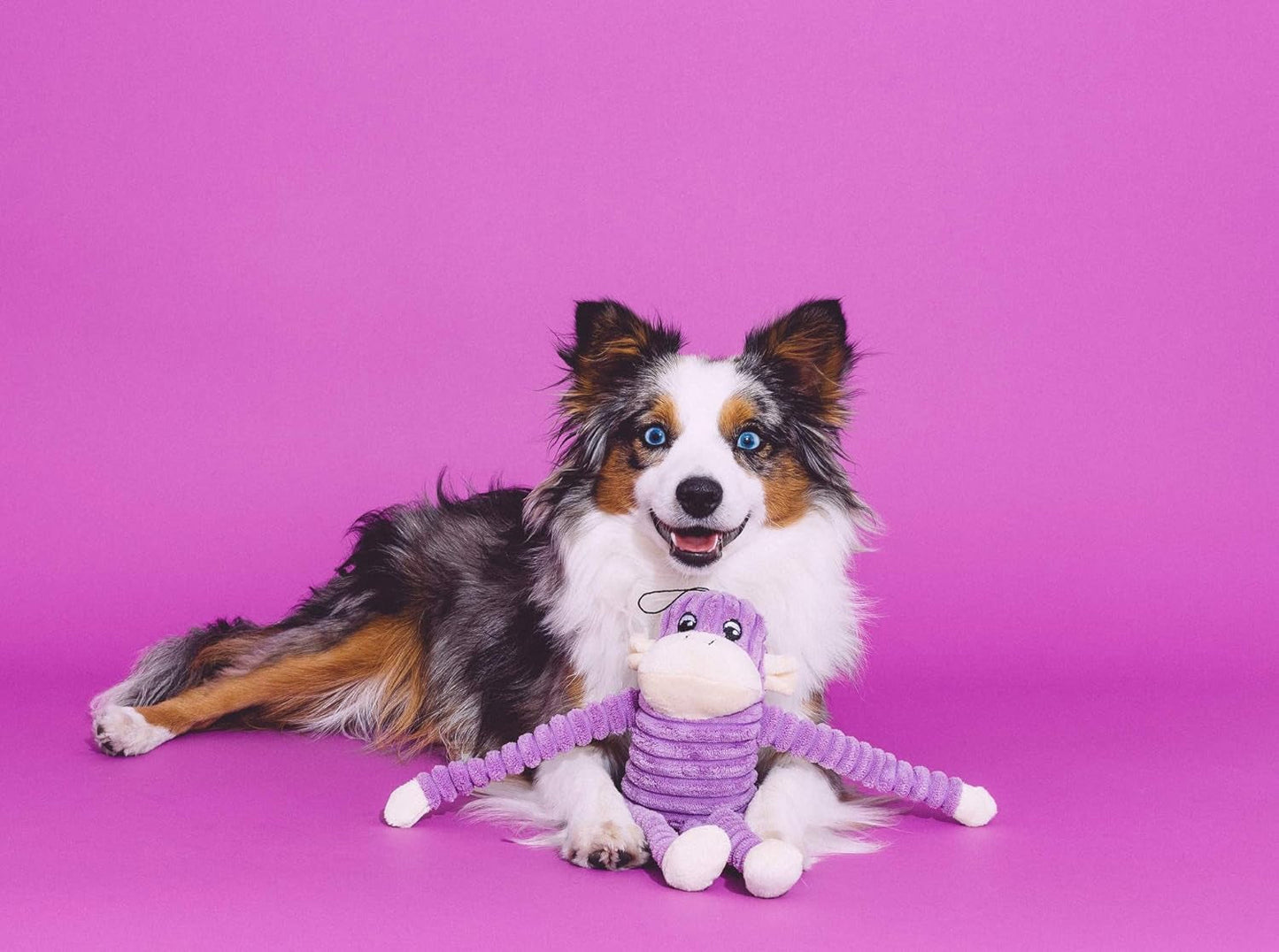 Zippypaws - Spencer the Crinkle Monkey Dog Toy, Squeaker and Crinkle Plush Toy - Purple, Small