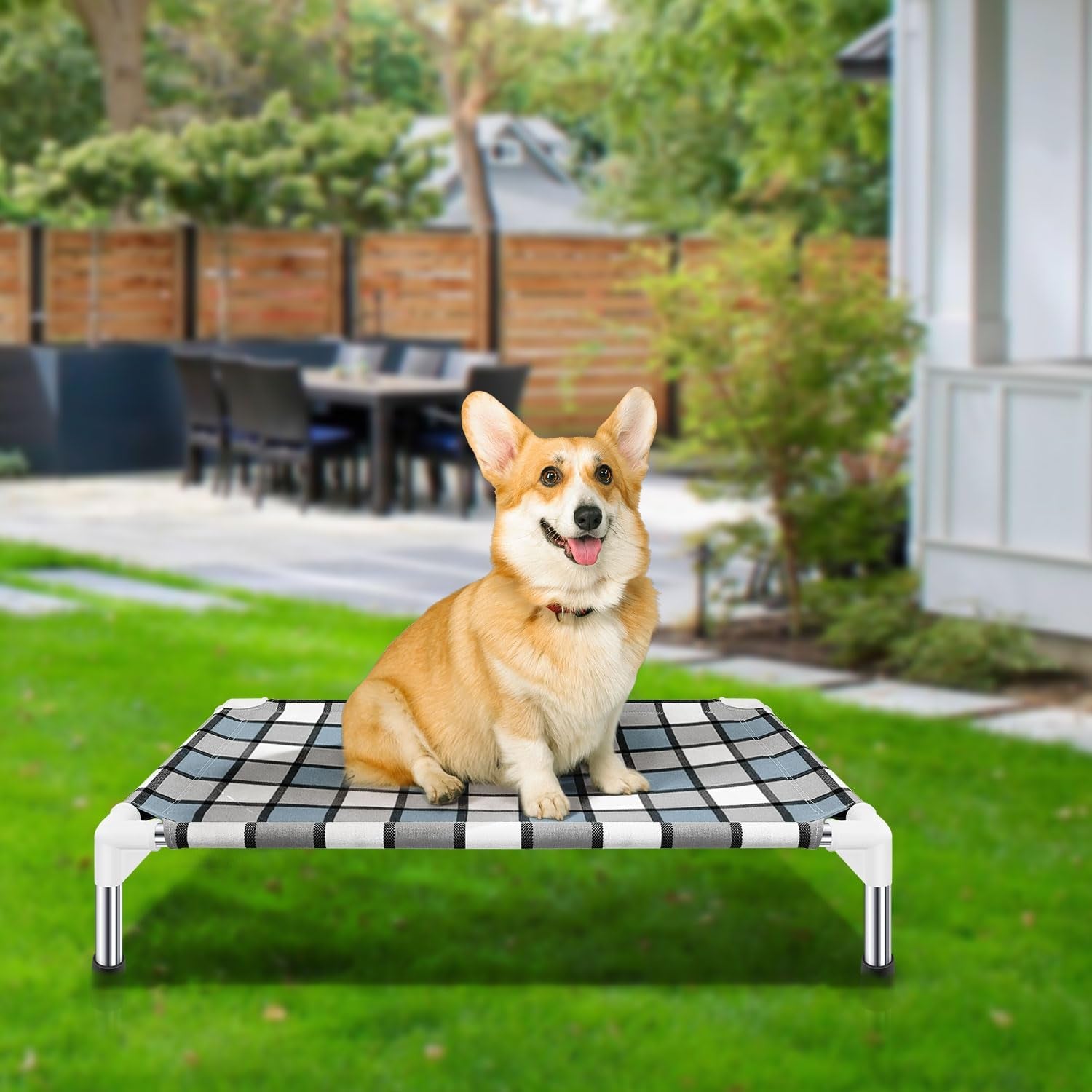 Elevated Dog Bed Raised Dog Bed - Dog Bed Pet Bed Dog Cot for Small Pet Taste Life, Start with a Pet Bed