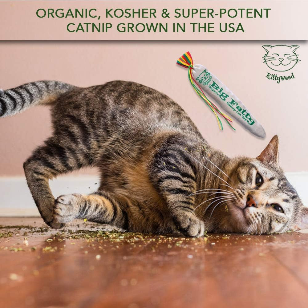 Kittyweed’S Big Fatty Catnip Cat Toy - One of the Most Potent Catnip Toys on the Market!