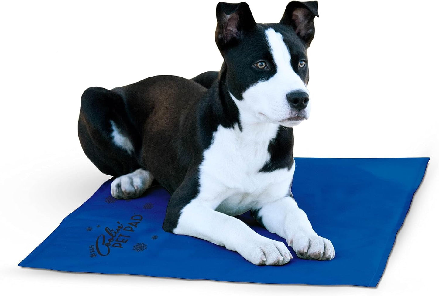 K&H Pet Products Dog Cooling Mat, Outdoor Pet Bed Cooling Pad for Dog Travel Carriers, Easy Carry Non-Toxic No Gel Cooling Dog Bed for Summer, for Cats, Rabbits and More - Blue Medium 20" X 15"