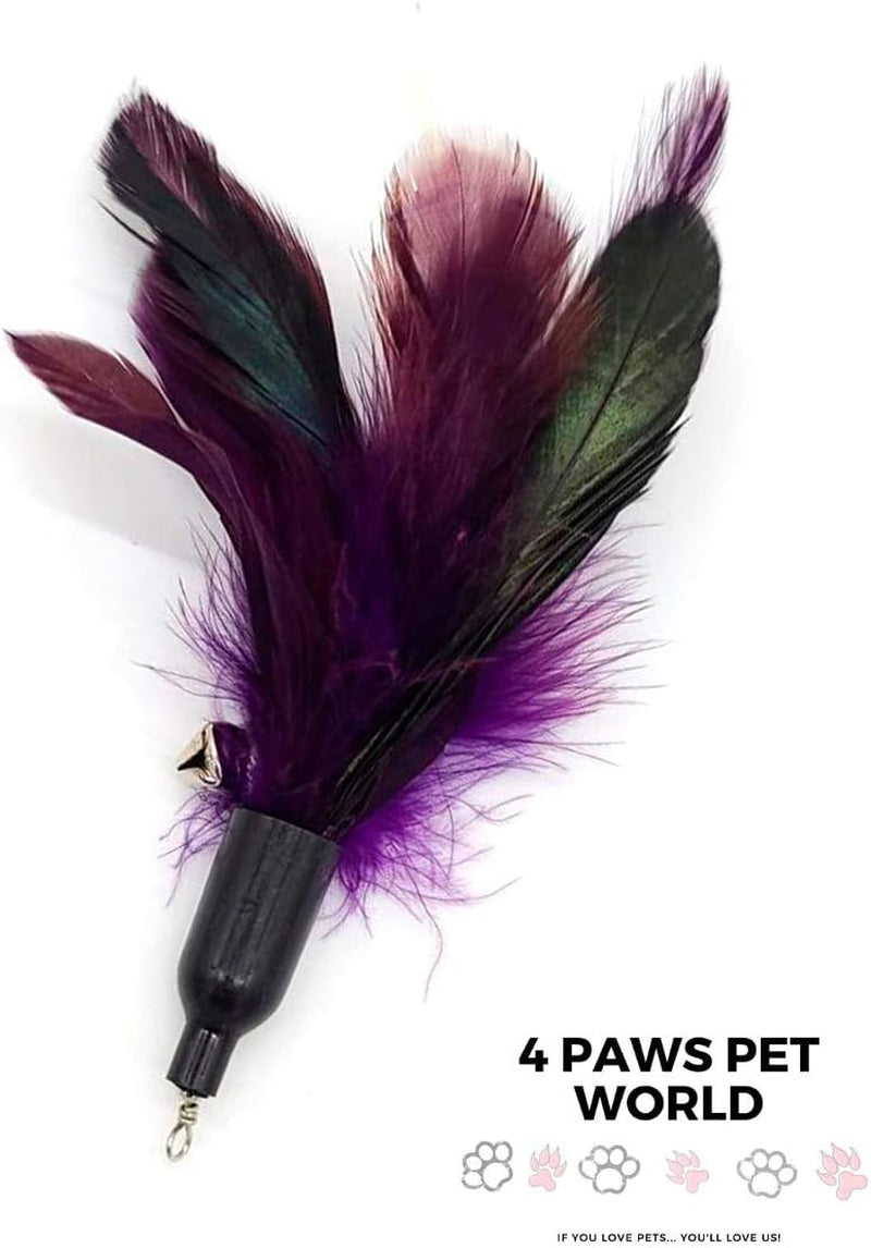 4 Paws Pet World - Cat & Kitten Toys - Feather Cat Teaser Toys - Interactive Feather Refills for Cat Wand Toy.