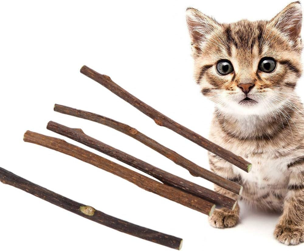 20 PCS Cat Catnip Sticks,Cat Interactive Kitty Cat Toys Cat Mint Stick Cat Snacks to Relieve Boredom Chew Sticks Cat Teeth Cleaning Chew Toy Catnip Mouse Cat Toy