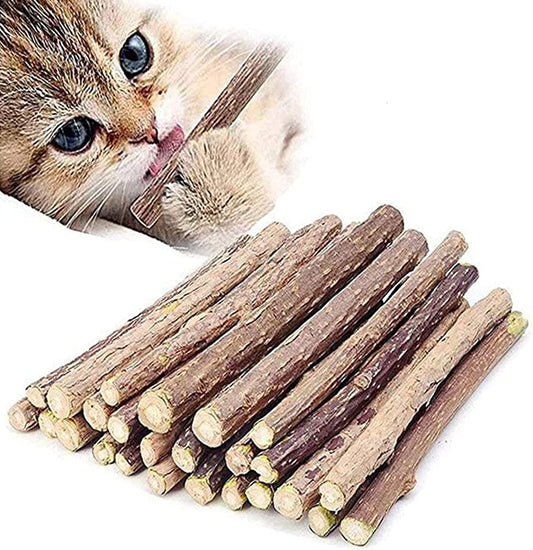 10 PCS Catnip Sticks Organic Cat Chew Toys Natural Plant Matatabi Silvervine Chew Sticks Cat Teeth Cleaning Chew Toy Cat Kitten Kitty 1