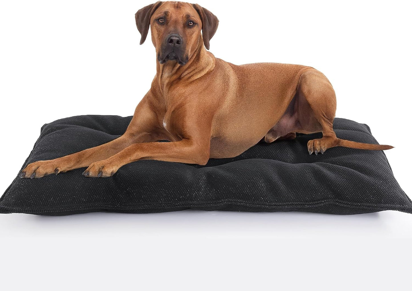 Indestructible Dog Beds Chew Proof Dog Crate Pad,Durable Dog Bed for Aggressive Chewers,Tough Washable Dog Mats for Small/Medium Dogs,Black Washable Dog Bed for Kennel,M 18X29 In