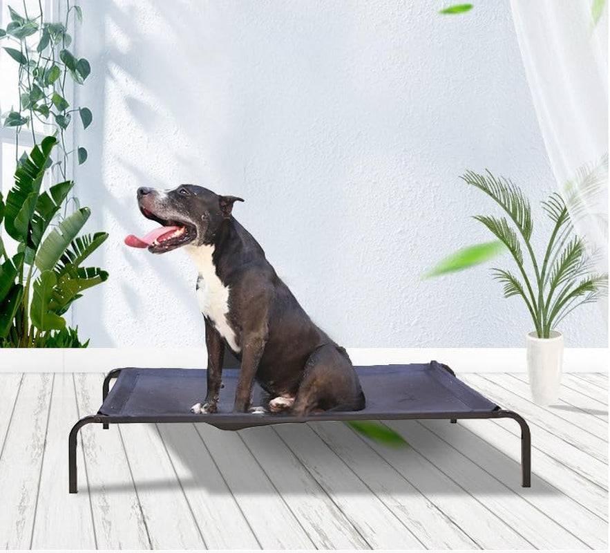 Elevated Dog Bed, Pet Bed, Medium Size with Measures 35.4X23.6 X 5.9In, Portable Bed with a Non-Slip Firm Structure, Easy to Assemble Black