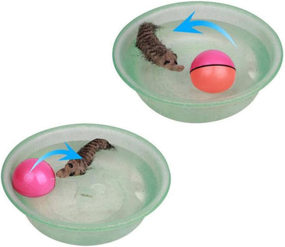 2Pcs Small Dog Toy Cat Toys Kitten Toy Weasel Ball Puppy Dog Toys Pet Puppy Toy Dog Exercise Cat Mouse Toy Cat Mice Toys Kitten Balls Cat Exercise Product Funny Cat