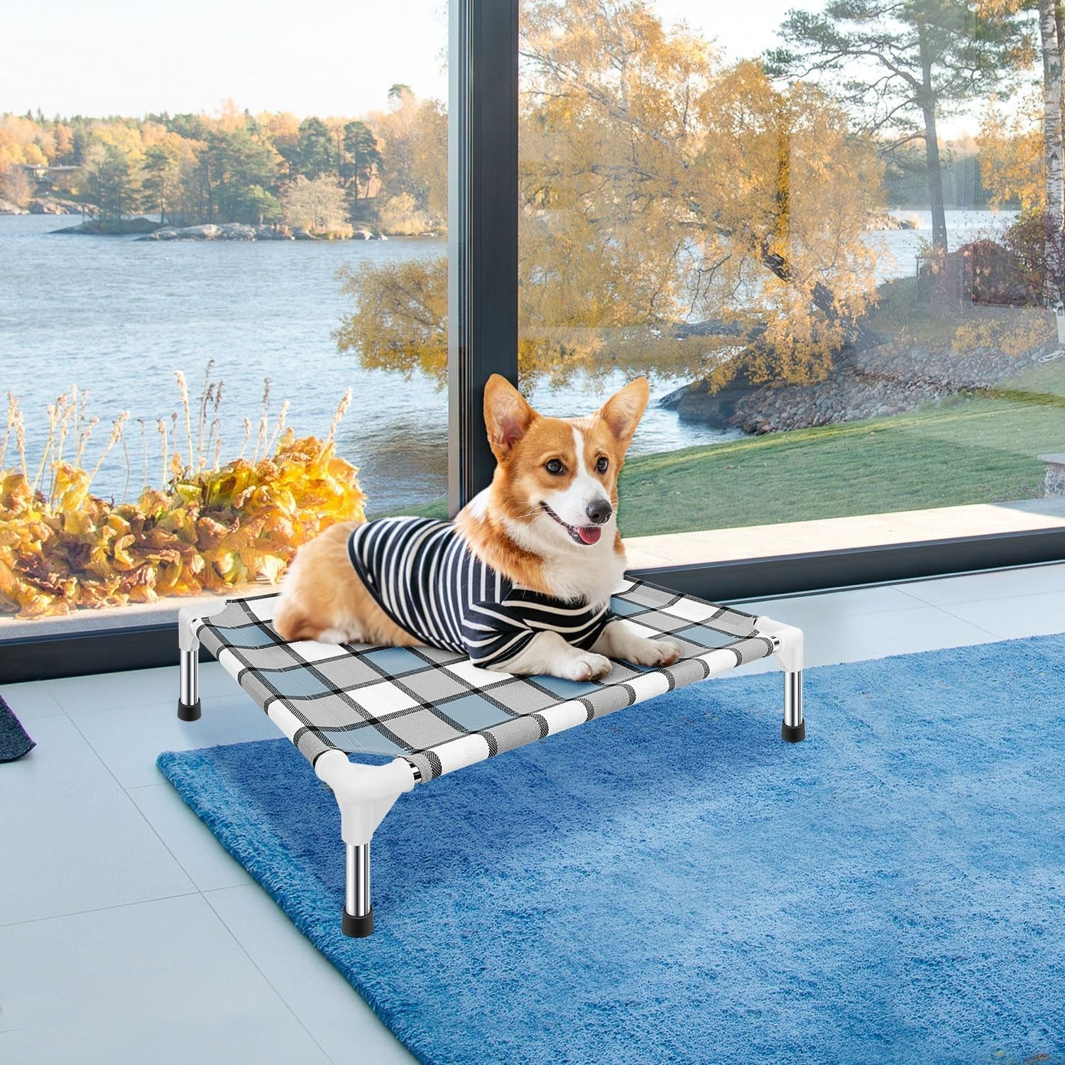 Elevated Dog Bed Raised Dog Bed - Dog Bed Pet Bed Dog Cot for Small Pet Taste Life, Start with a Pet Bed