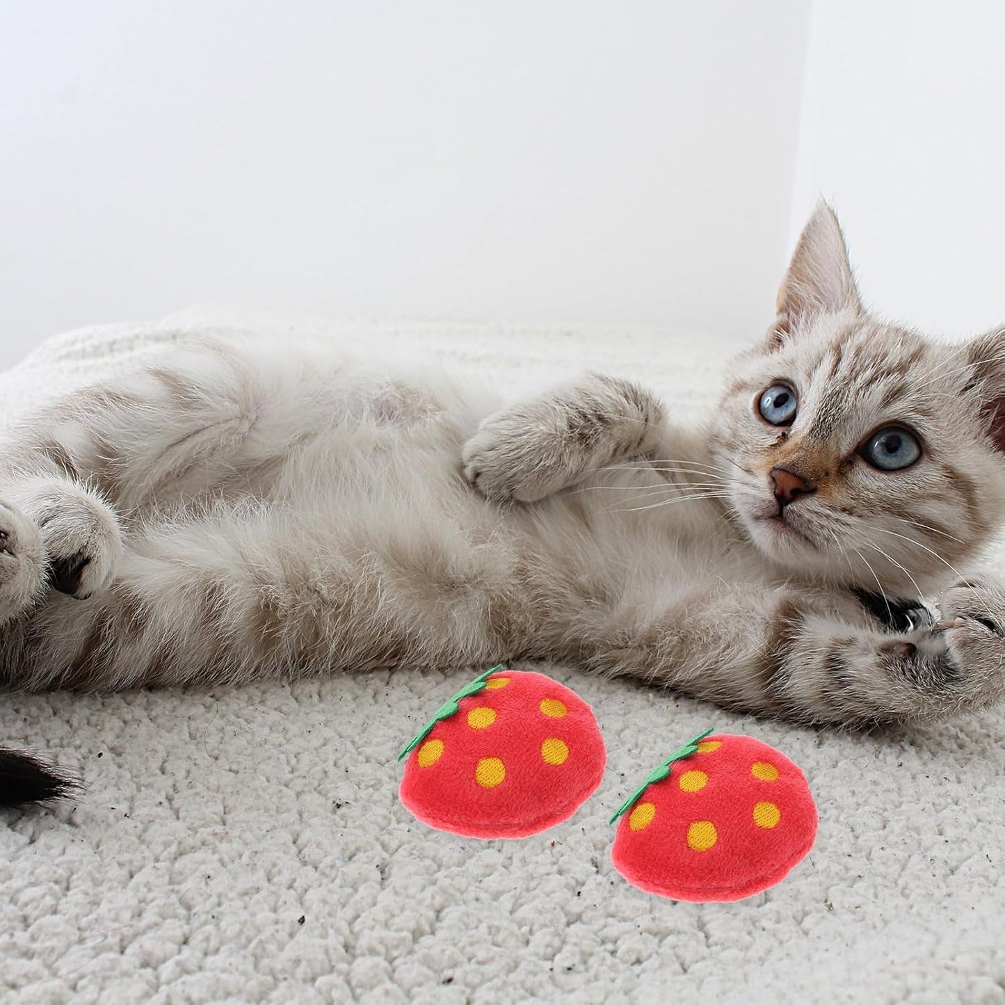 10Pcs Plush Simulated Strawberry Toys Pet Bite Chew Doll Cat Catnip Playing Toy Funny Pet Plush Toy Home Decor for Cat Pet