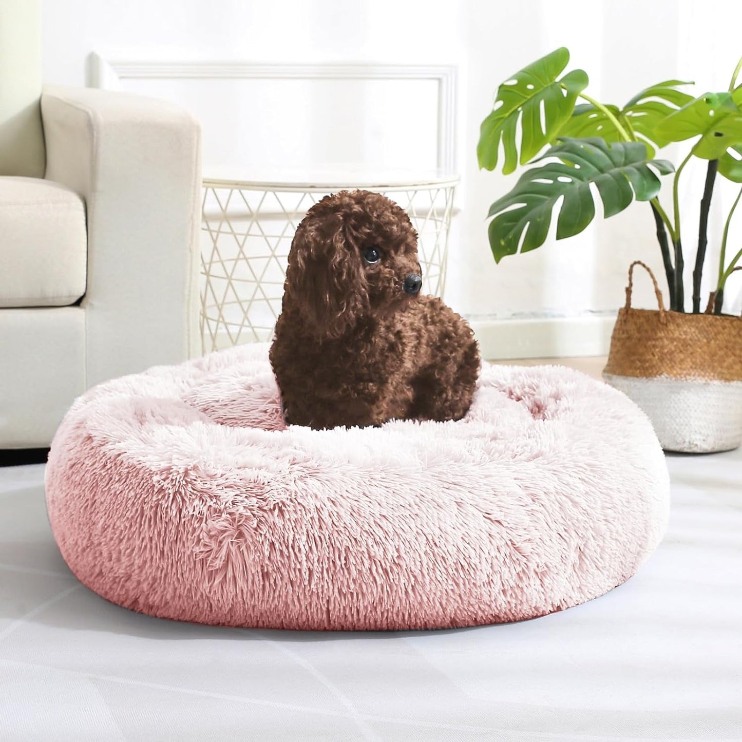 JOLLYVOGUE Calming Donut Dog Bed & Cat Bed, Anti-Anxiety Washable round Bed, Fluffy Dog Cuddler Bed, Cozy Dog Cat Cushion Bed for Small Puppy (20")