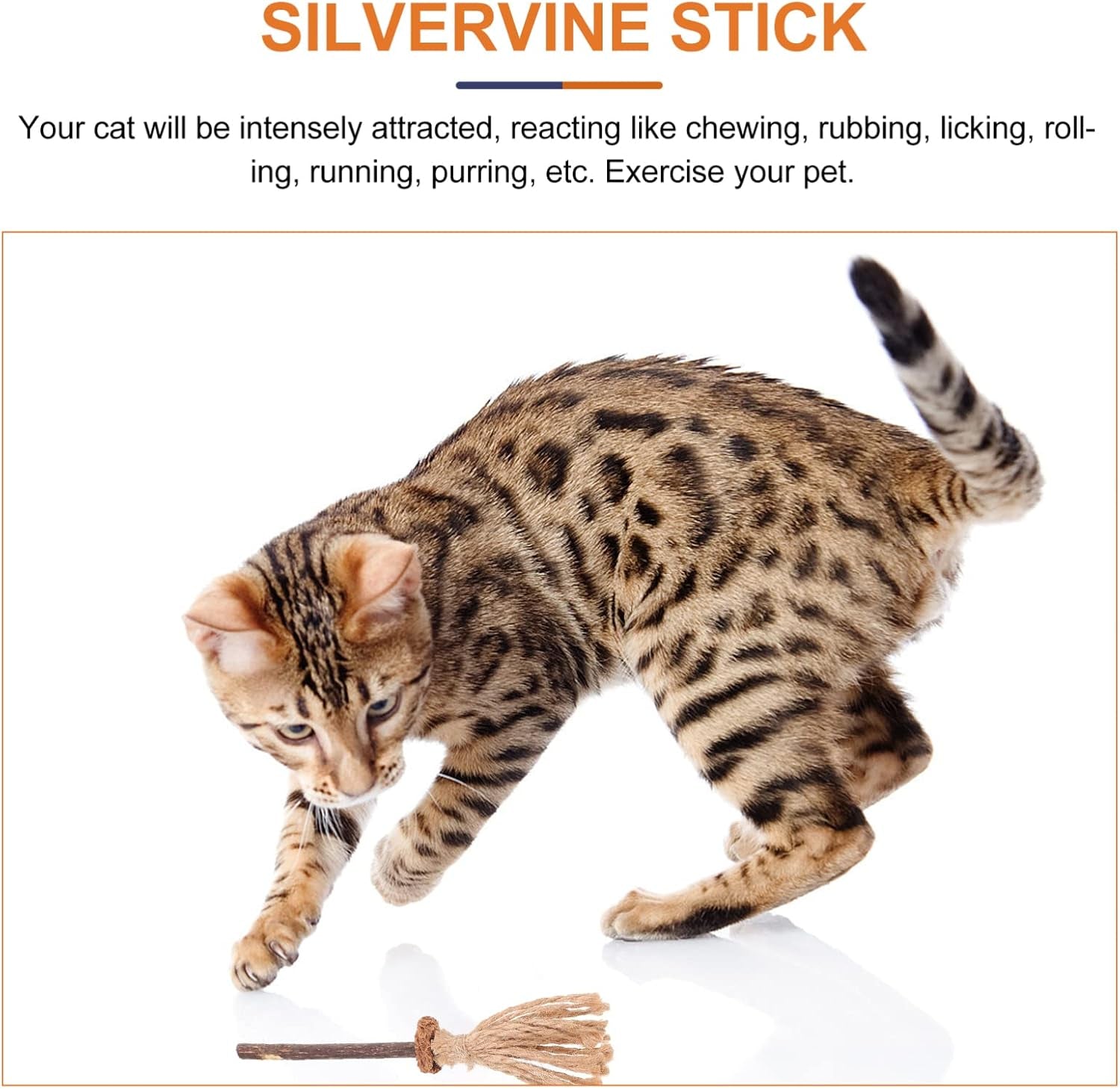 3Pcs Cat Toys, Silvervine Cat Toy Cats Catnip Treat Sticks Broom Shape Kitten Teething Chew Toy Silvervine Cat Chew Toys Cat Teaser Wand Toys Catnip Toys for Indoor Cats