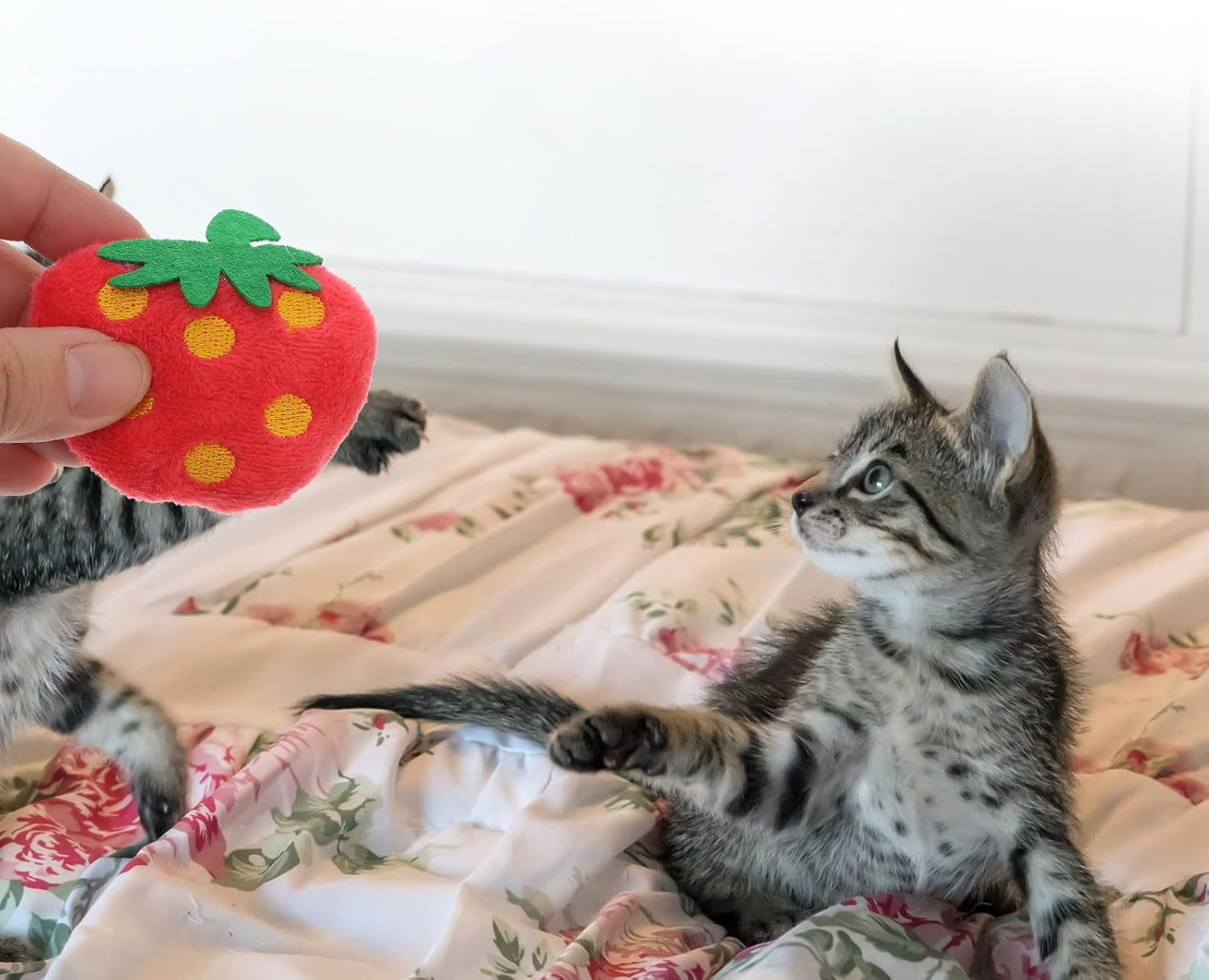 10Pcs Plush Simulated Strawberry Toys Pet Bite Chew Doll Cat Catnip Playing Toy Funny Pet Plush Toy Home Decor for Cat Pet