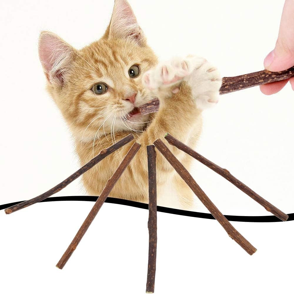 20 PCS Cat Catnip Sticks,Cat Interactive Kitty Cat Toys Cat Mint Stick Cat Snacks to Relieve Boredom Chew Sticks Cat Teeth Cleaning Chew Toy Catnip Mouse Cat Toy