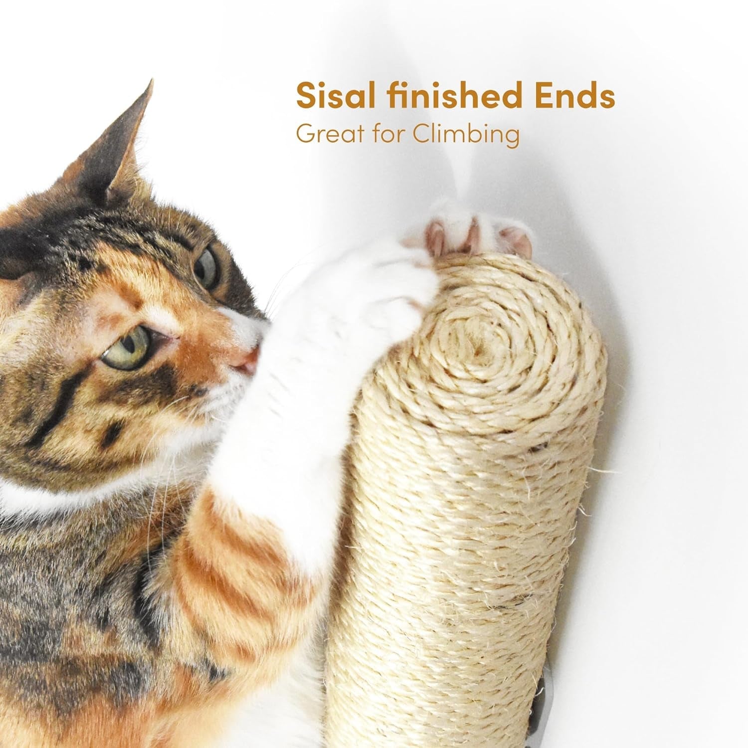 18" Compact Wall Mounted Cat Scratcher, Sisal Scratching Post