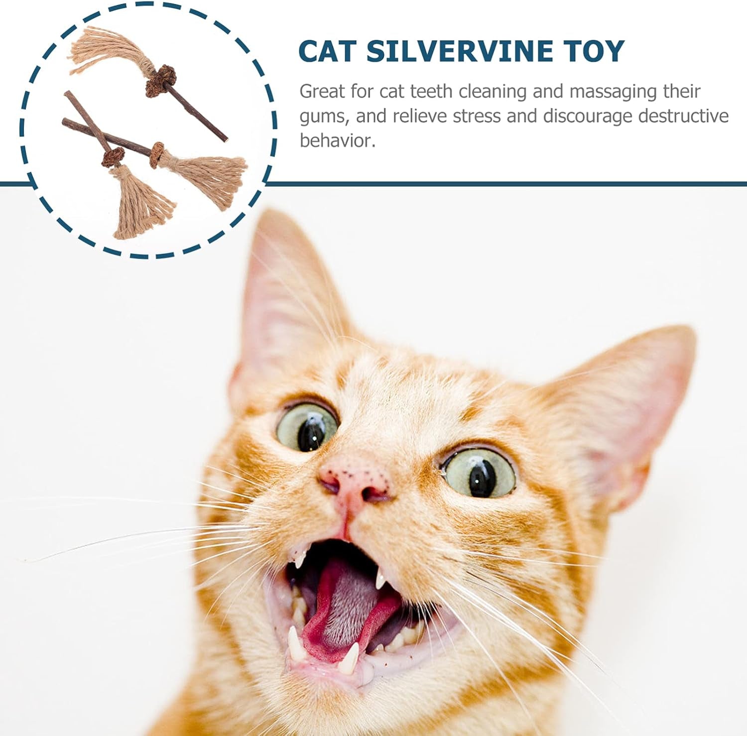 3Pcs Cat Toys, Silvervine Cat Toy Cats Catnip Treat Sticks Broom Shape Kitten Teething Chew Toy Silvervine Cat Chew Toys Cat Teaser Wand Toys Catnip Toys for Indoor Cats