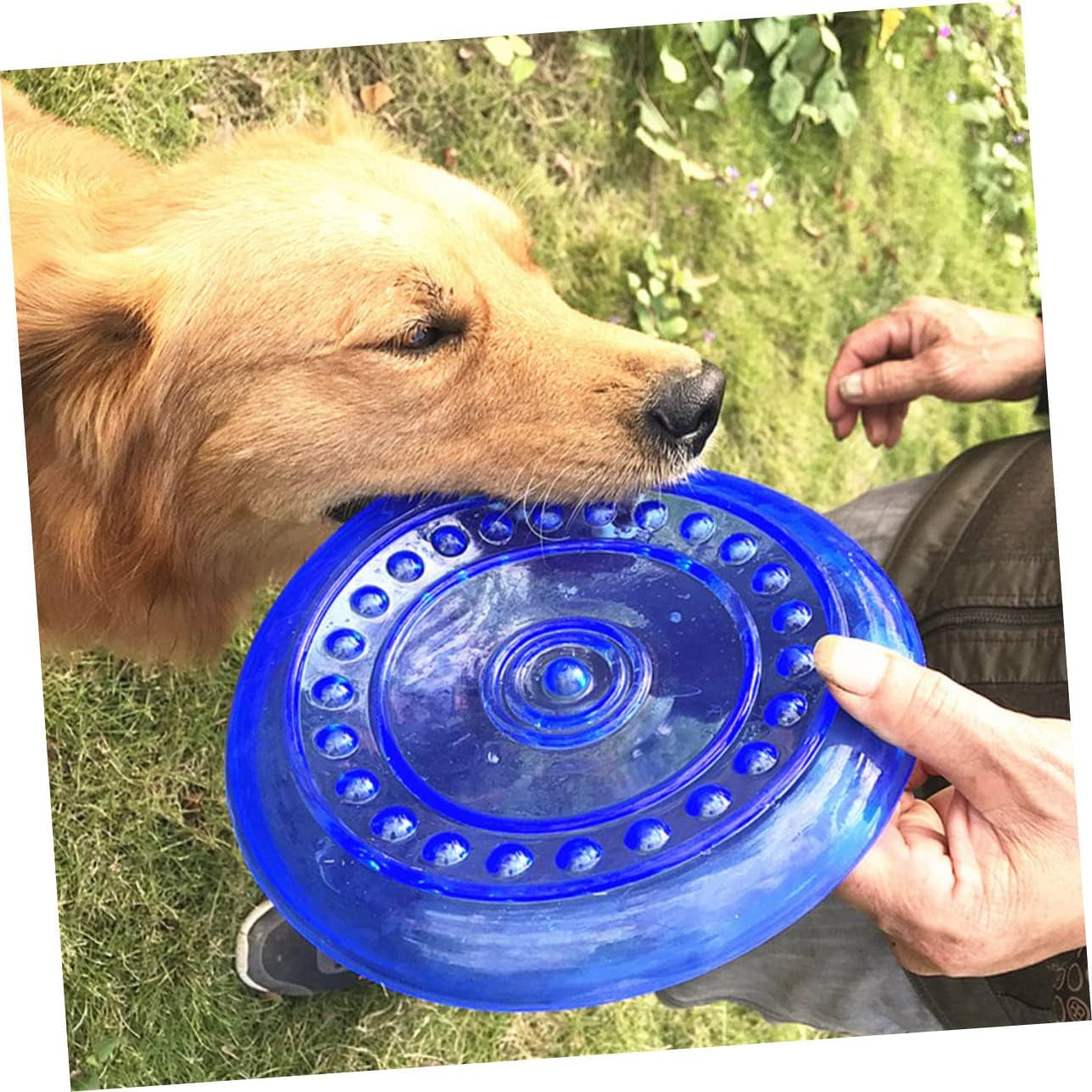 1Pc Pet Float Pet Toys Dog Food Toy Small Dog Interactive Dog Toy Dog Toy Supplies Dog Interactive Flying Disc Chew Toys outside Toy Pet Dog Plaything Outdoor Medium Dog