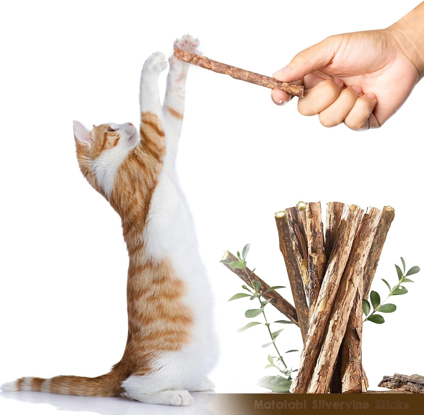 24Pcs/Pack Silvervine Cat Chew Sticks, Natural Cat Toys, Chew Toys for Kittens Kitty Cats, Matatabi Sticks, Teeth Cleaning Toys