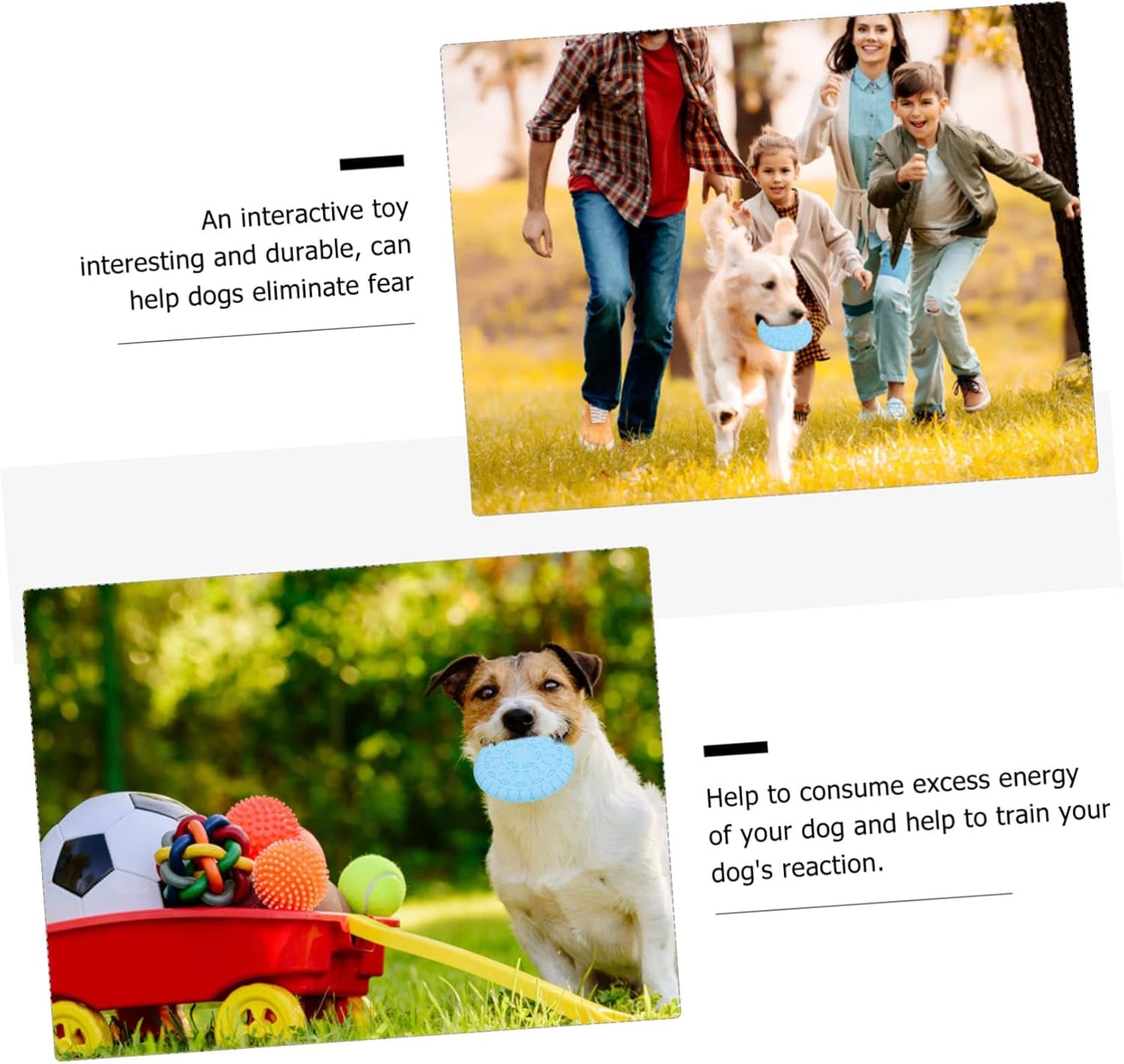 1Pc Pet Toy Funny Dog Toy Chewing Toys for Dogs Floating Dog Puppy Dental Care Dog Teething Toy Dog Training Disc Kid Toys Indoor Playset Puppy Flyer Toy TPR Outdoor Feeder Child