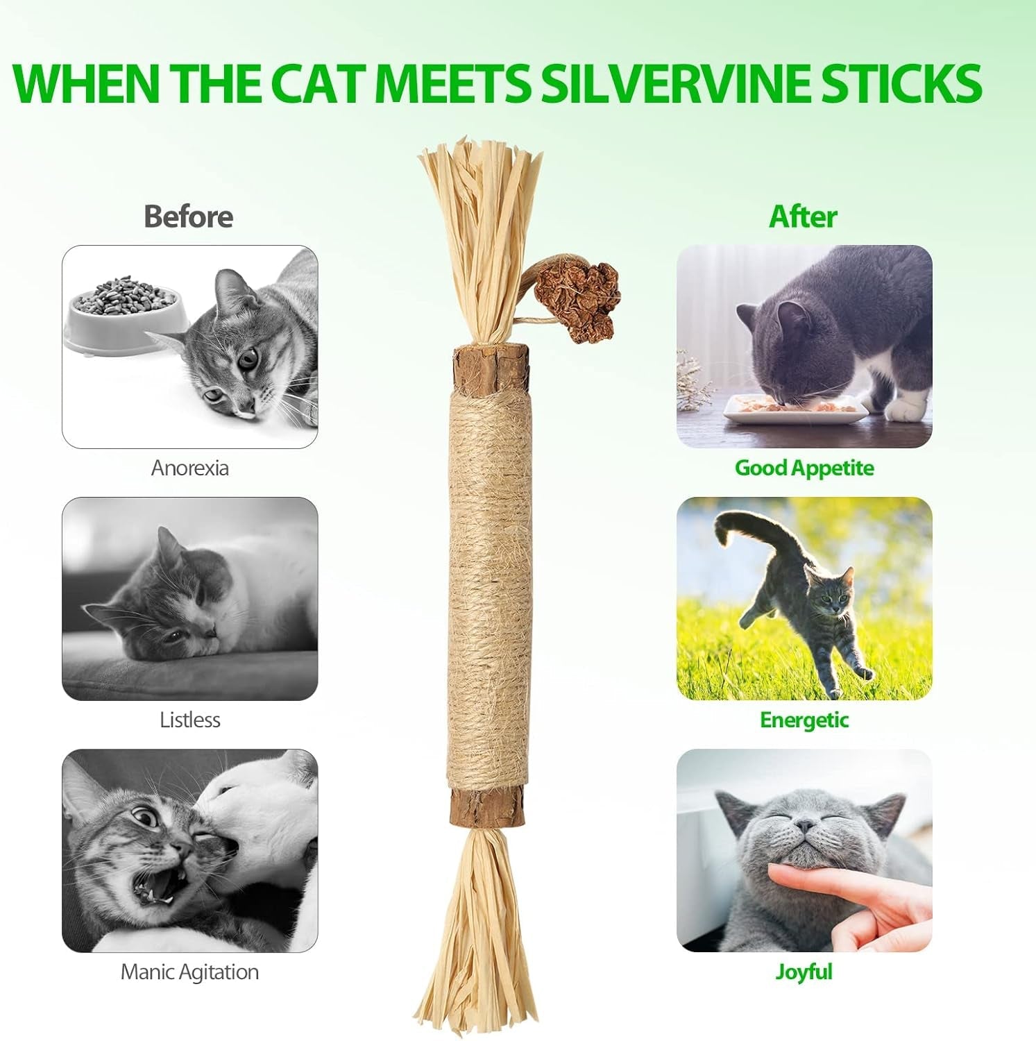 10 Park Silvervine Cat Toy, Silvervine Sticks for Cats, Cat Toy with Silvervine, Cat Chew Stick for Aggressive Chewers, Kitten Teething, and Dental Health - Silvervine Cat Toys for Hours of Fun