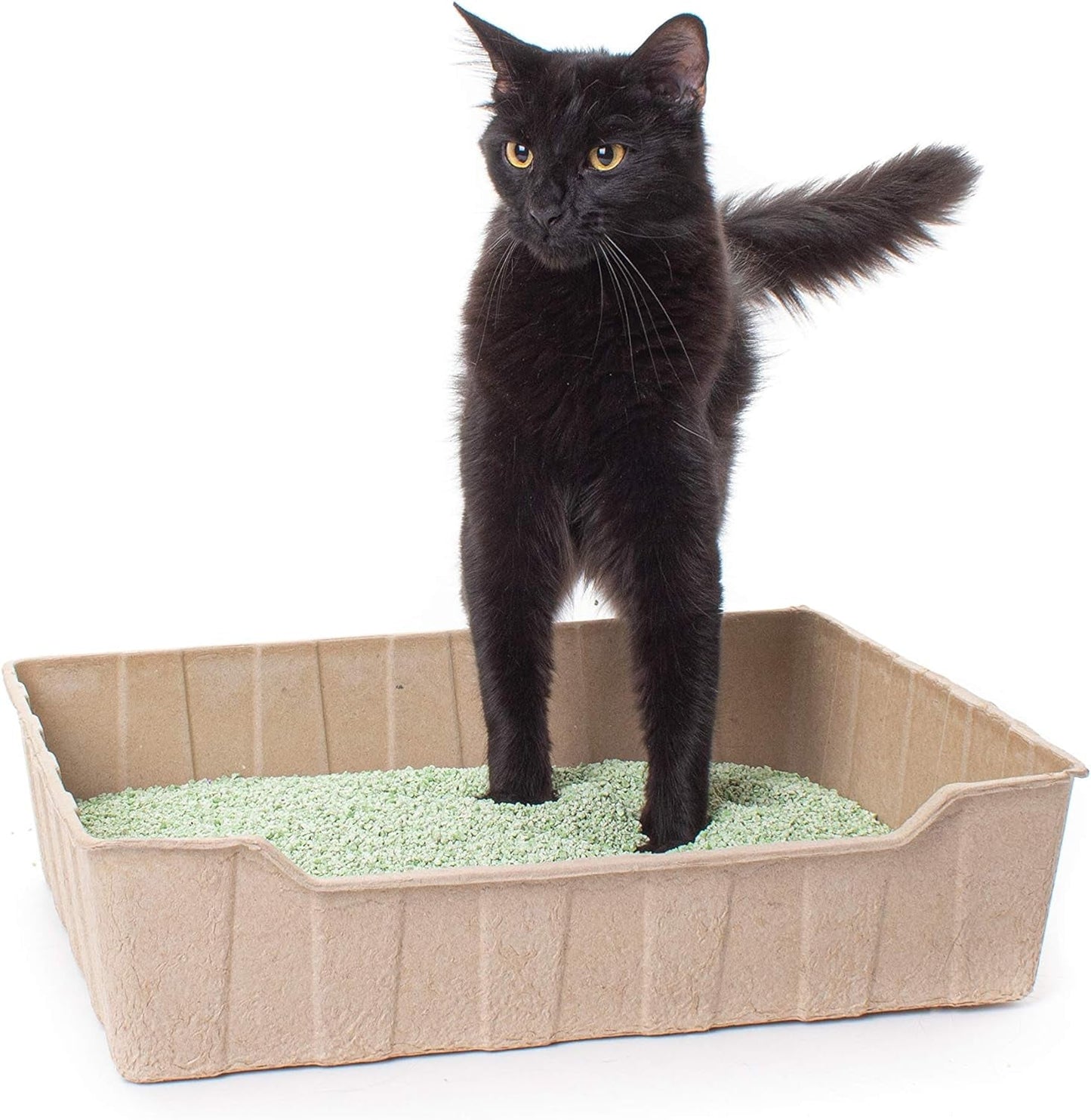 Zenkitty Disposable Litter Box 4 Ct Bundle, Biodegradable